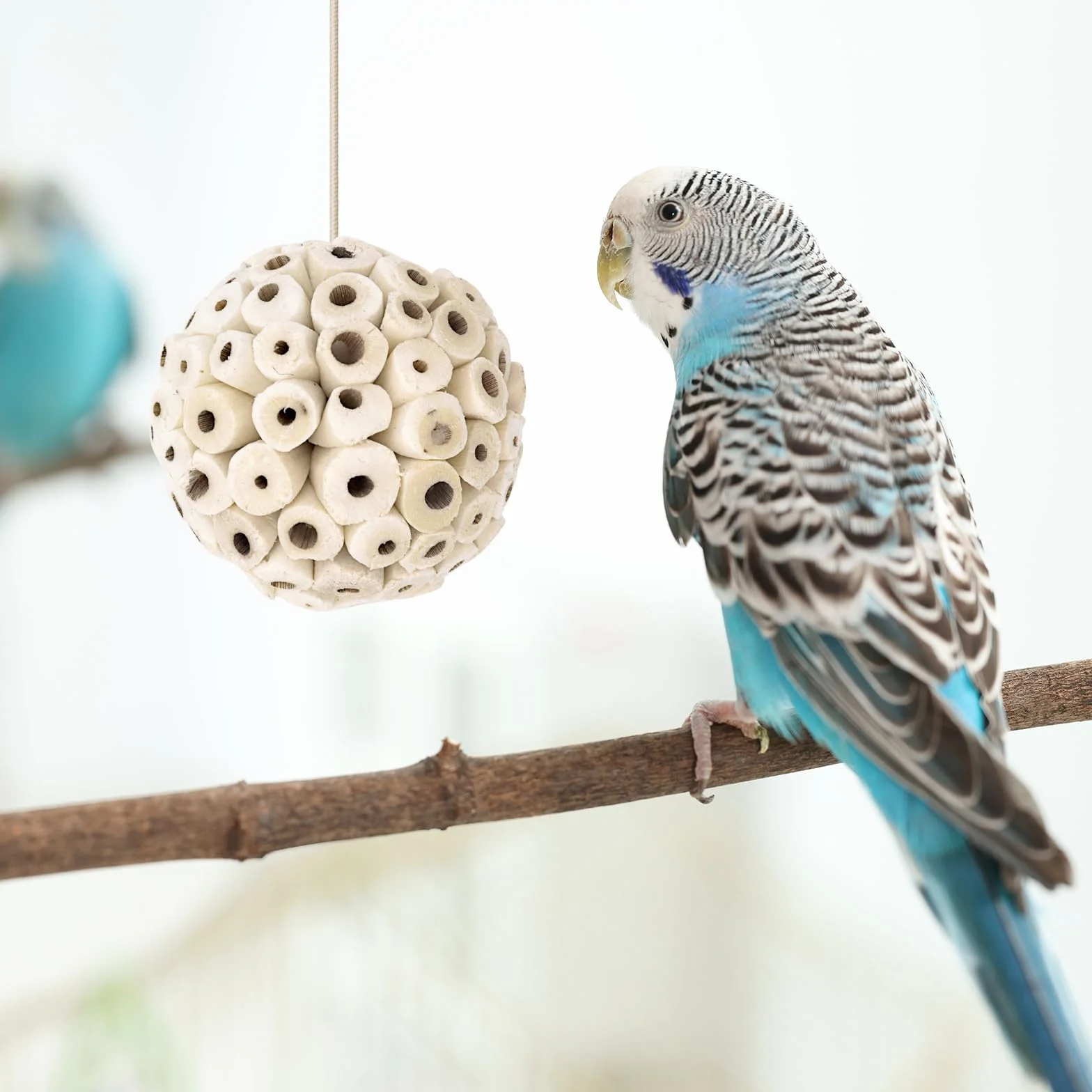 Naturalne kulki Sola zabawka do żucia dla papugi Budgie Finch ara