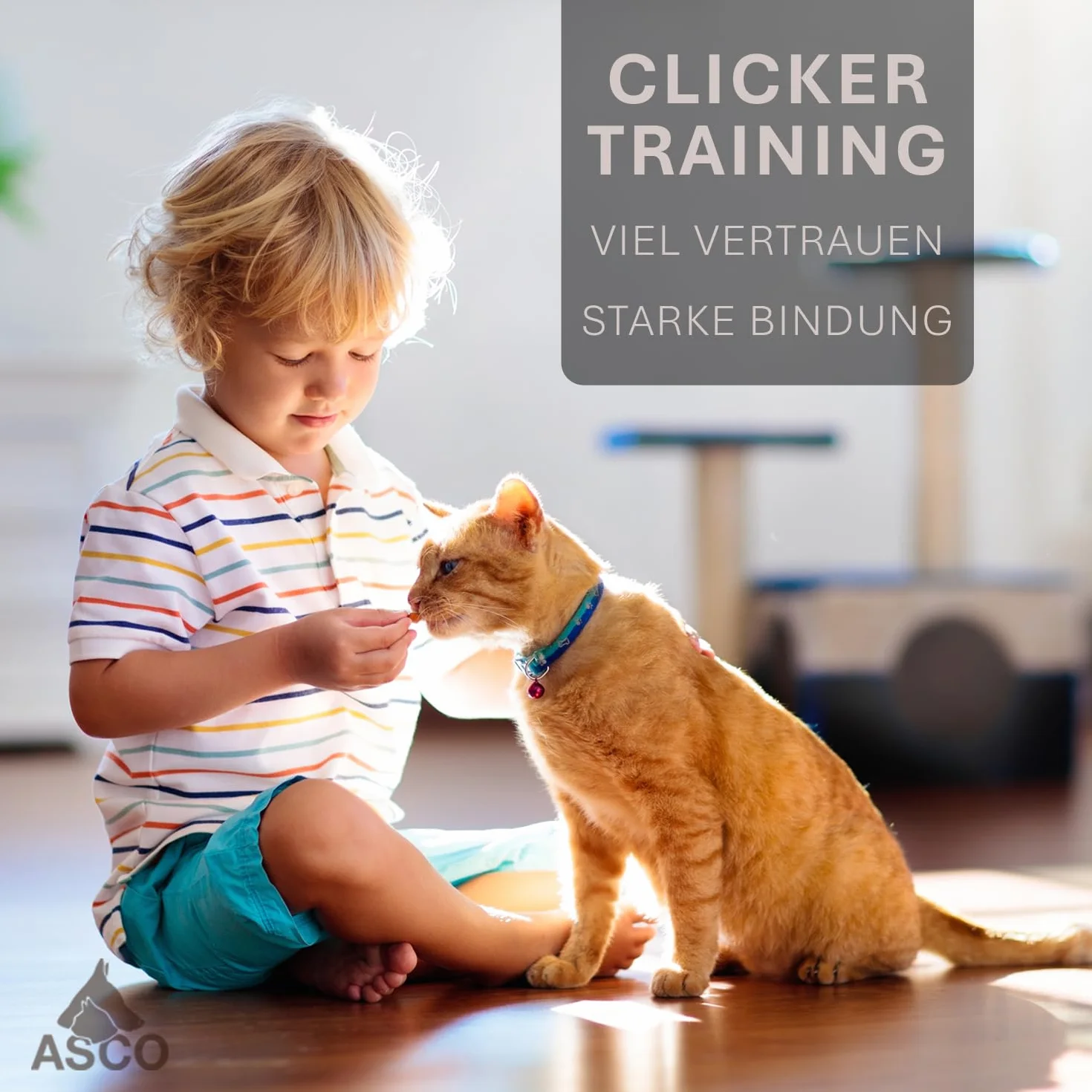 ASCO Clicker Premium Clicker, kliker dla psa do profesjonalnego treningu na kliker z elastyczną taśmą, niebieski AC04PA