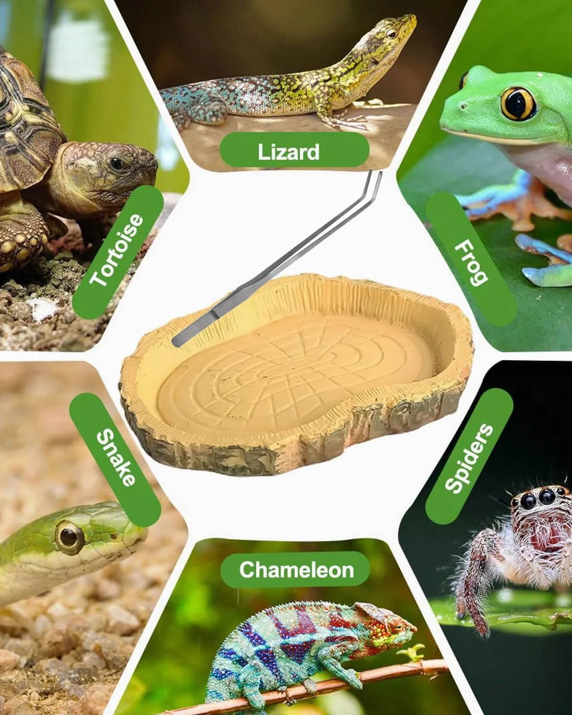 2 sztuki akcesoriów żółwi - miski na wodę, miska na żywność, miska na wodę do terrarium, miska na wodę, miska, akcesoria do węża, żółwia, gekona (+1 pęseta)