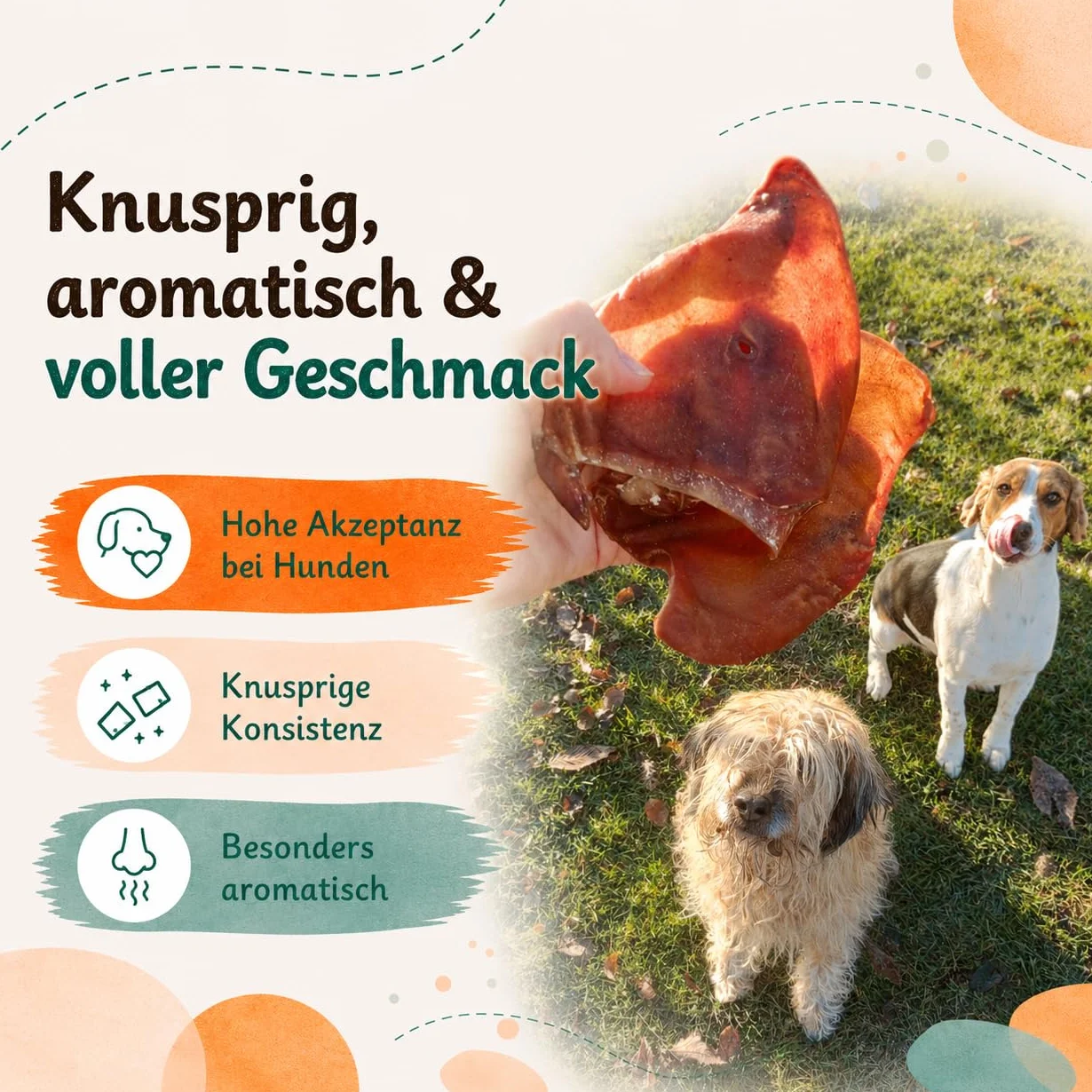 Uszy Wieprzowe dla Psów 1kg, Naturalny Gryzak Premium, 100% Naturalne, Bez Chemii, Bez Zbóż, Zdrowe Przysmaki, Higiena Jamy Ustnej, Polska Produkcja, Dla Małych i Dużych Psów