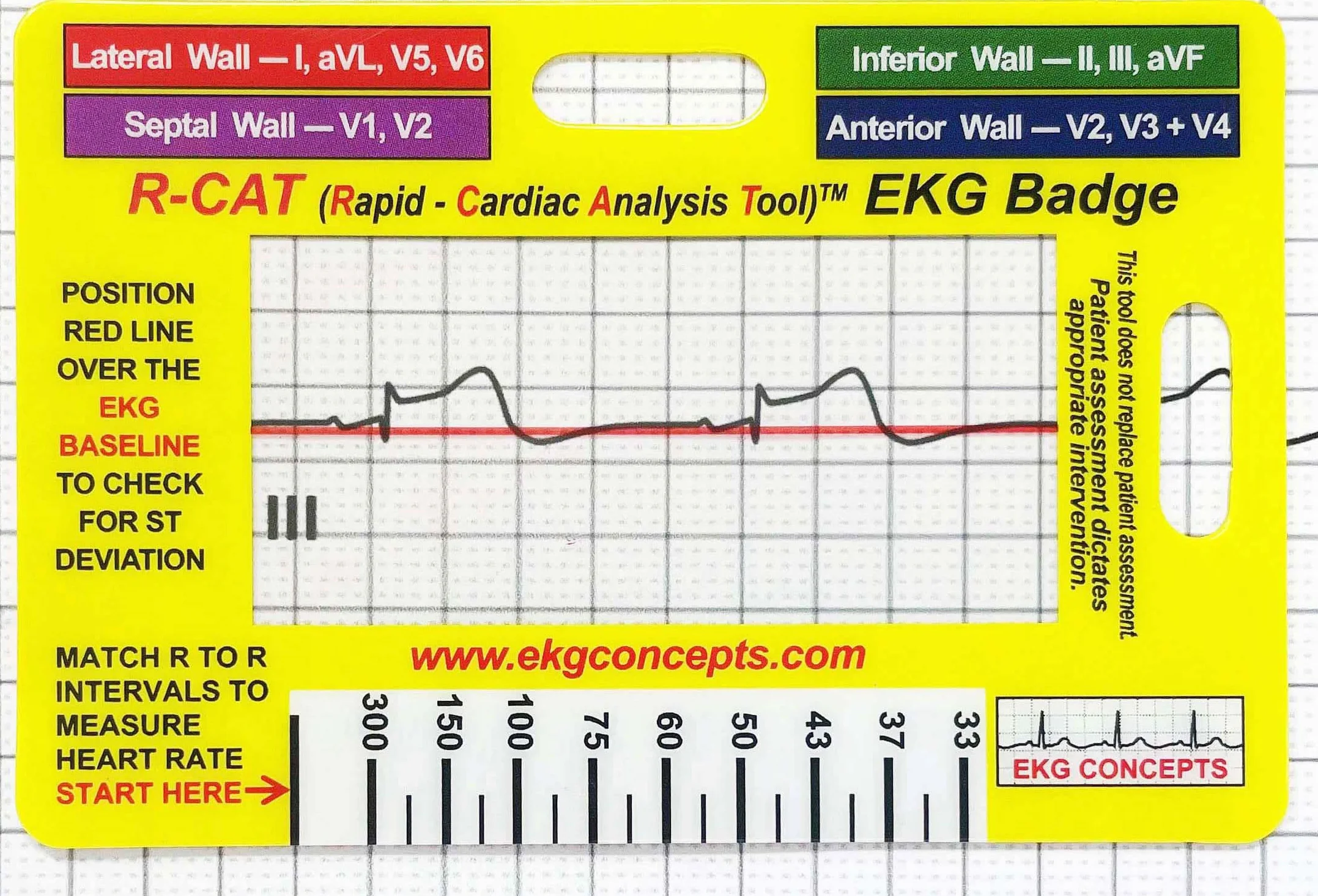 R-Cat Odznaka EKG