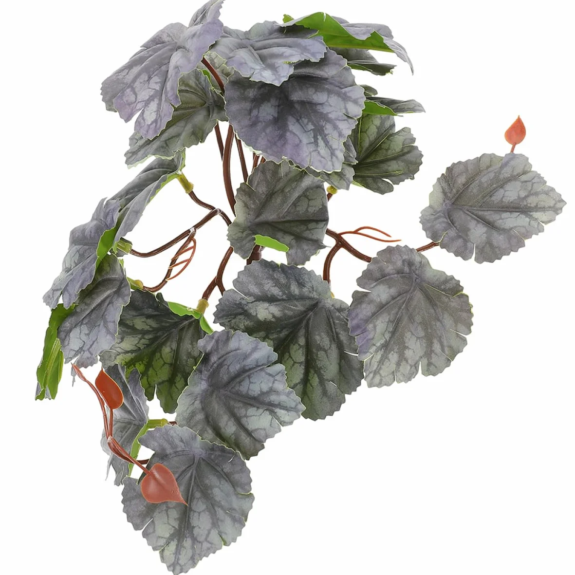 5szt Przyssawki Do Roślin Wiszących Rośliny Kraba Pustelnika Terrarium Wodospady w Terrariach Dla Gadów Rośliny Do Terrariów Monstera Wąż Zakład Zbiornik Wodny Plastikowy