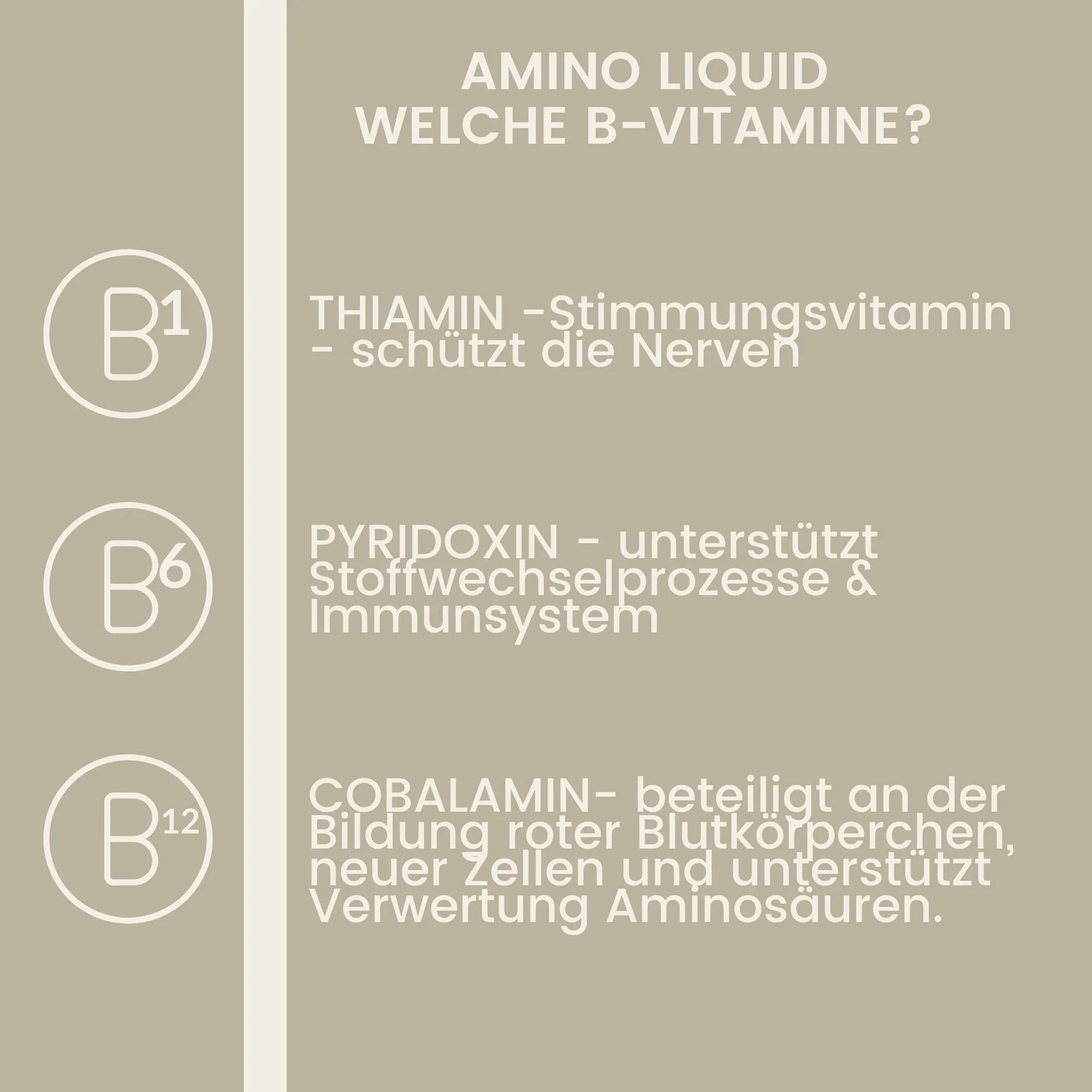EMMA Amino Pferd Liquid 1L Aminokwasy w płynie z L-karnityną, witaminą B Komplex, suplement diety dla budowy mięśni, regeneracji, zwiększenia wydajności i budowy mięśni - alternatywa dla proszku