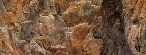 3D akwaria tylna ściana 100x40 skała z korzeniem