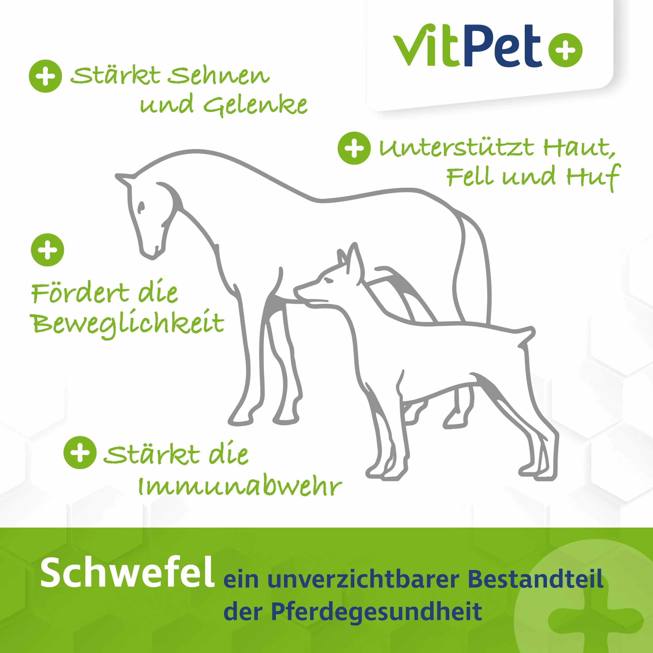 MSM Pferd - Premium MSM Pulver für Pferde im 1,8 kg Eimer inkl. Dosierlöffel (Methylsulfonylmethan- / Schwefel-Pulver für Pferde und Hunde)