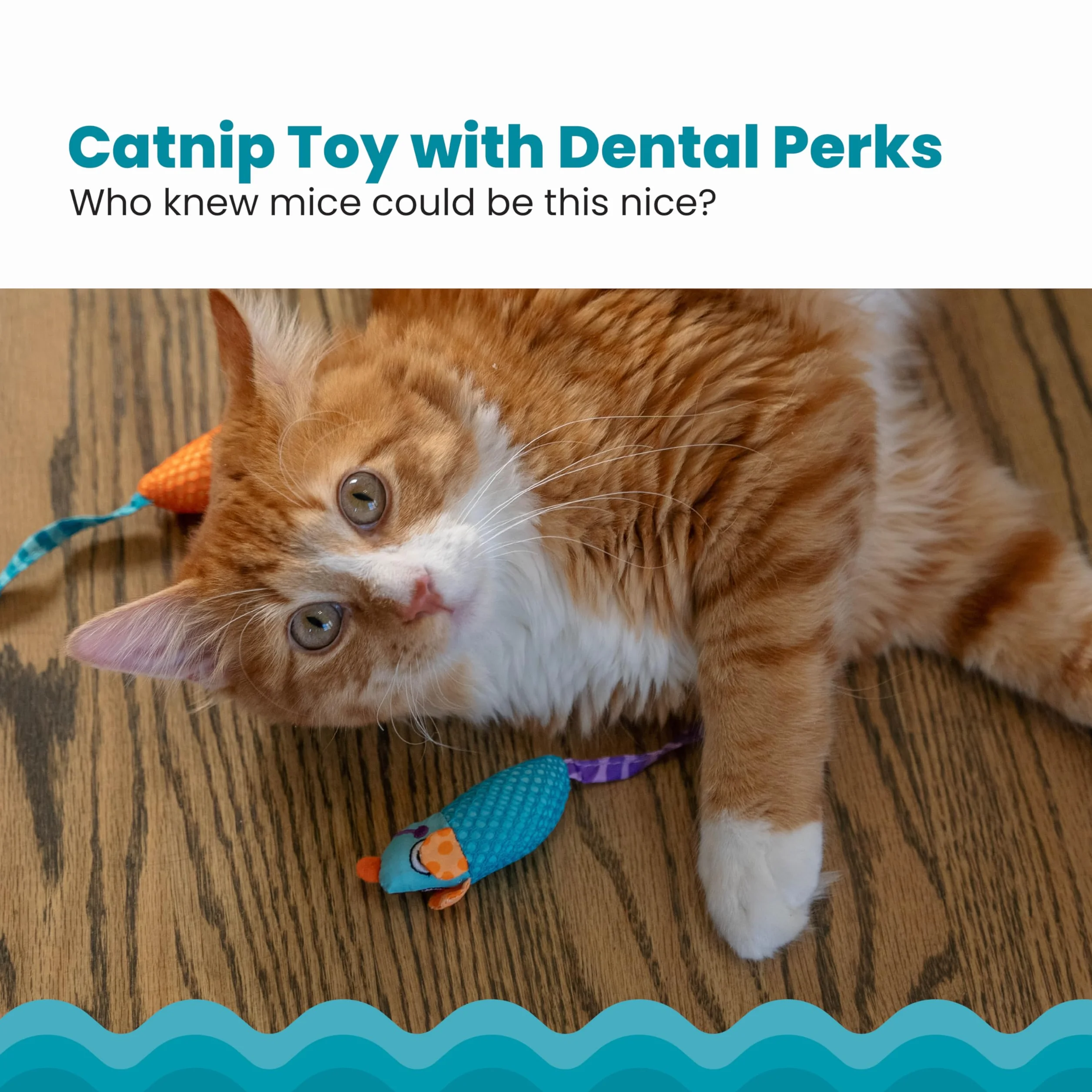 Petstages Catnip Chew Mice - Zabawka dla kota - dba o zdrowe zęby - wielobarwna - 2-pak