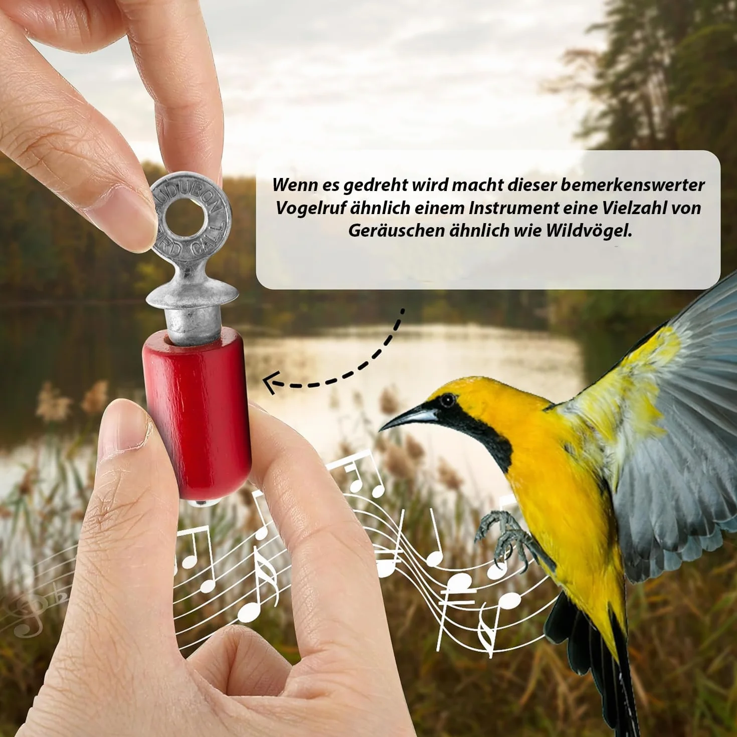 Boxed Audubon Bird Call