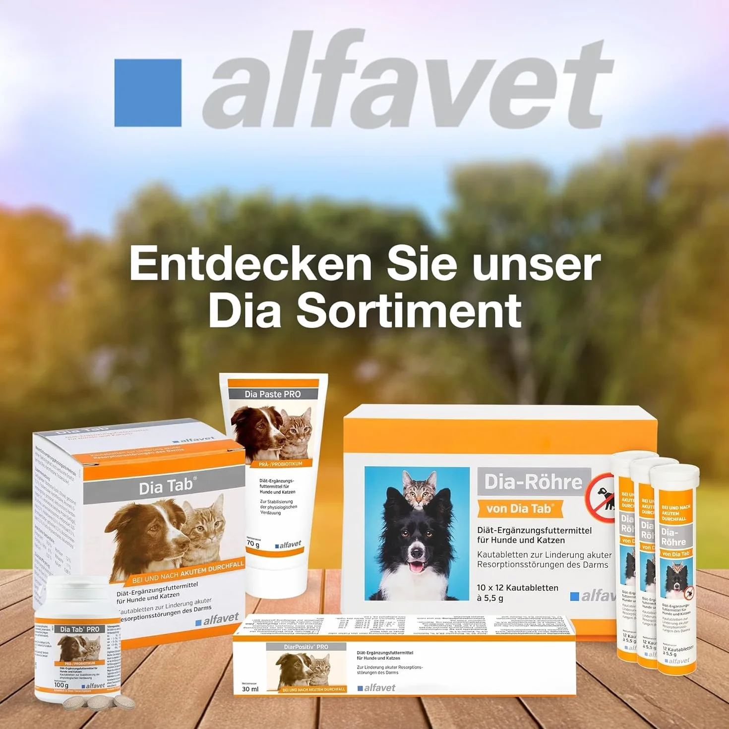 Alfavet DiarPositiv PRO 30 ml – uzupełniająca karma dietetyczna dla psów i kotów – z pro- i prebiotykami do wspomagania flory jelitowej i trawienia – pasta z butyrantem i propionianem, bez dodatku