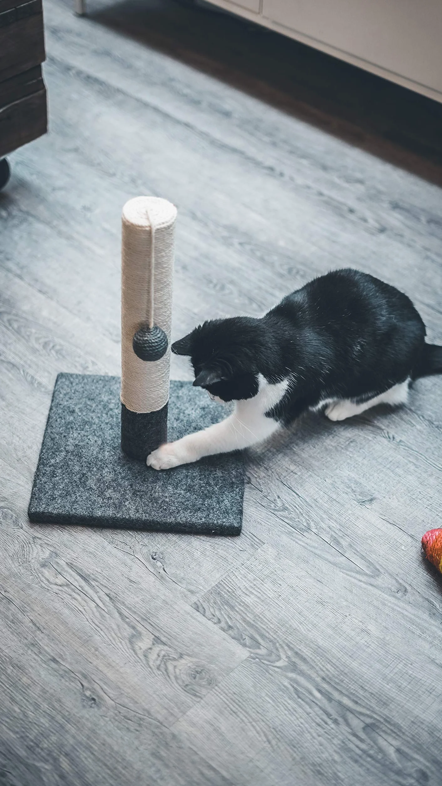 Tyrol Drapak dla kota 42 cm | pień do drapania z juty i wytrzymałego materiału z pluszową piłką | mały drapak o nowoczesnym wzornictwie, szary i biały | stabilna podstawa 30 x 30 cm | akcesoria dla