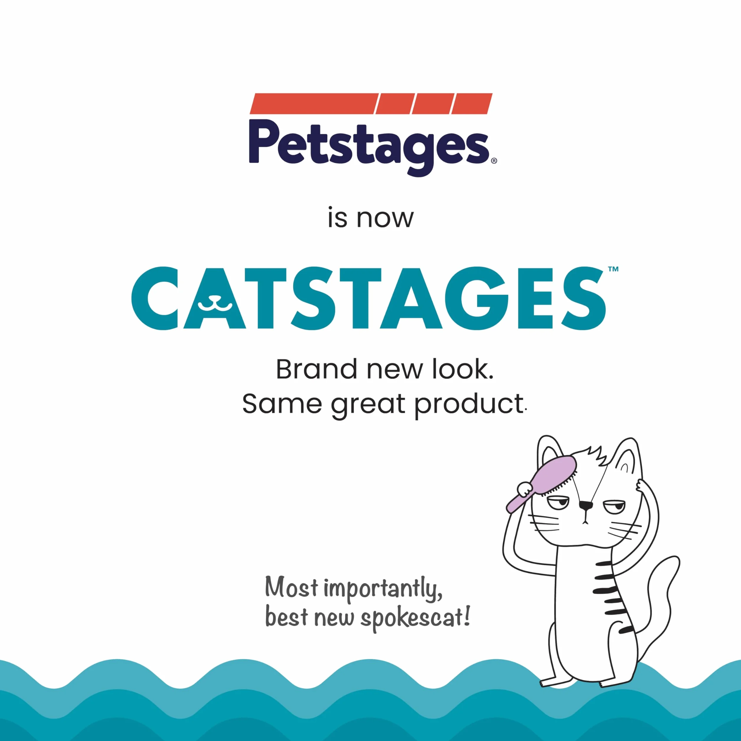 Petstages Catnip Chew Mice - Zabawka dla kota - dba o zdrowe zęby - wielobarwna - 2-pak