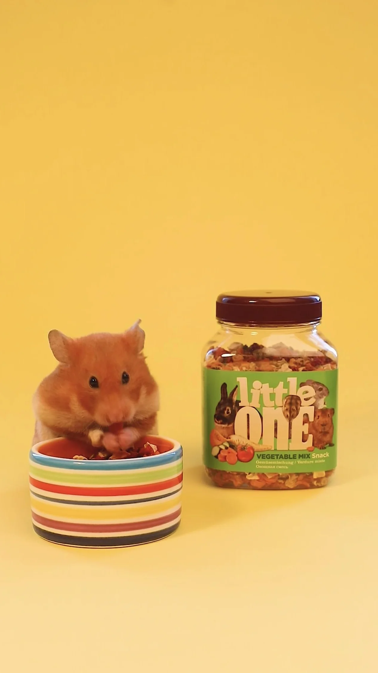 Little One Vegetable Mix przekąska, dwupak, 2 x 140 g, karma uzupełniająca dla gryzoni i królików miniaturowych, mieszanka składa się z pięciu różnych suszonych warzyw