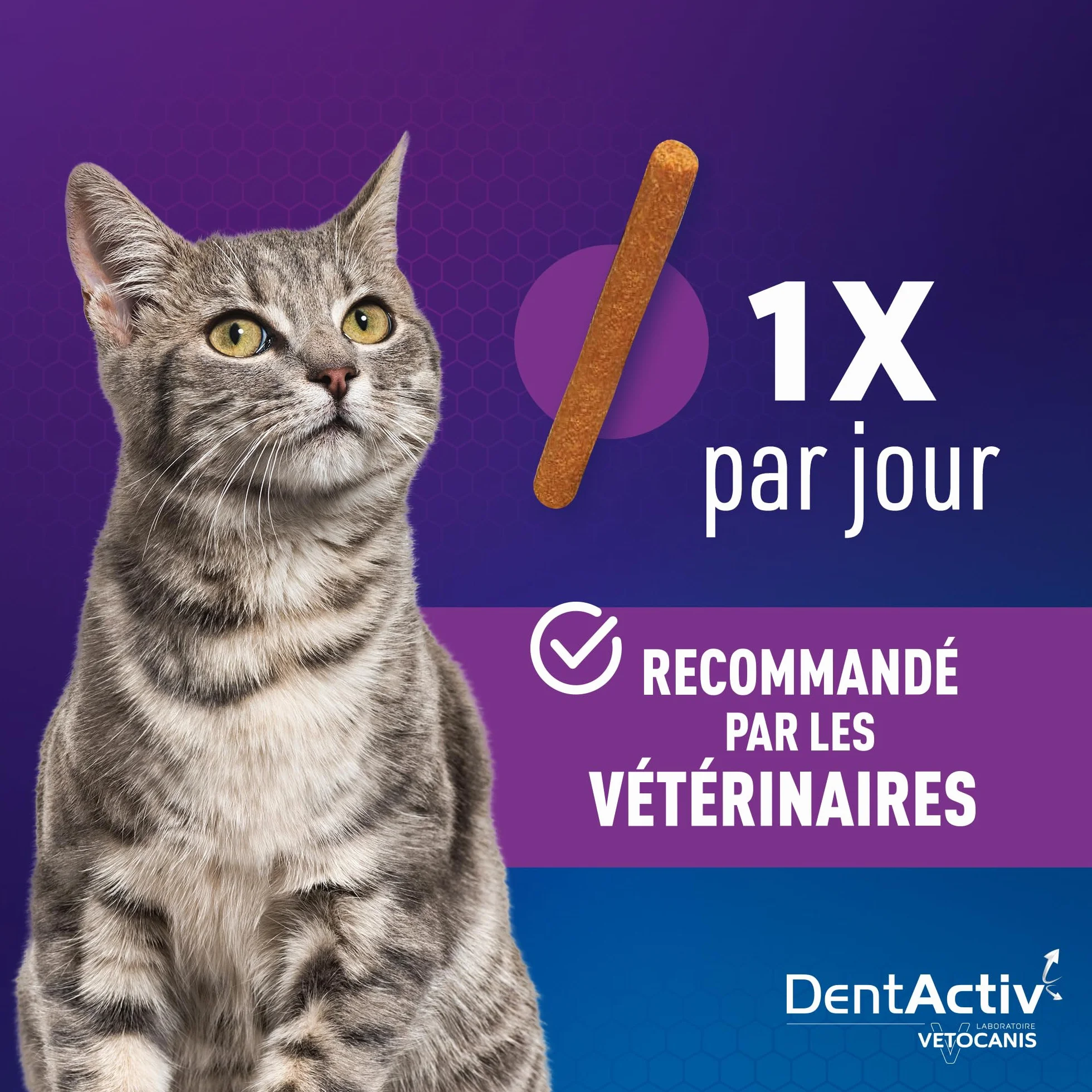 Vetocanis | Dentactiv | Stick Dental Cat | Przysmaki dla smakoszy dla kotów | Zdrowie i higieny kota | Bogate w mięso | 85% kurczaka | polecany przez weterynarzy | System przeciw płytkom