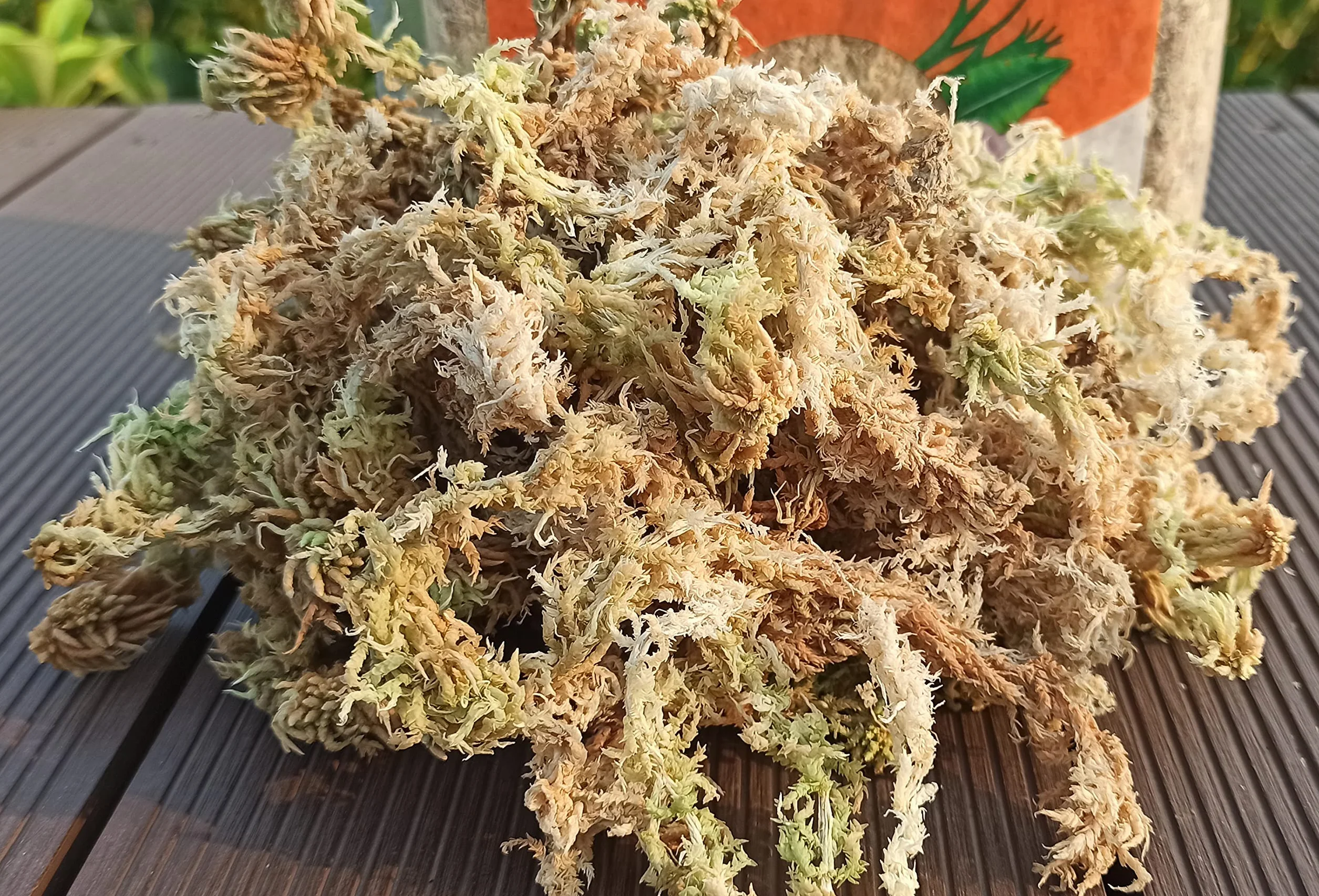 500 g mchu torfowca do roślin, premium skompresowany mech torfowca do storczyków