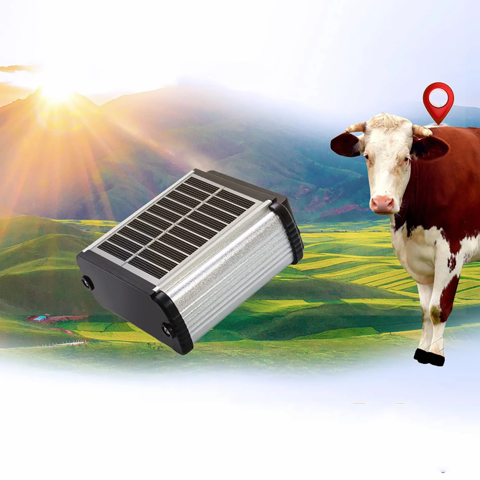 Lokalizator Zwierząt, Lokalizator GPS W Czasie Rzeczywistym Dla Bydła, Koni I Wielbłądów, Bateria Litowa 6000 MAh, Historyczny Tor, Pozycjonowanie W Czasie Rzeczywistym, Ustawienie Zasięgu