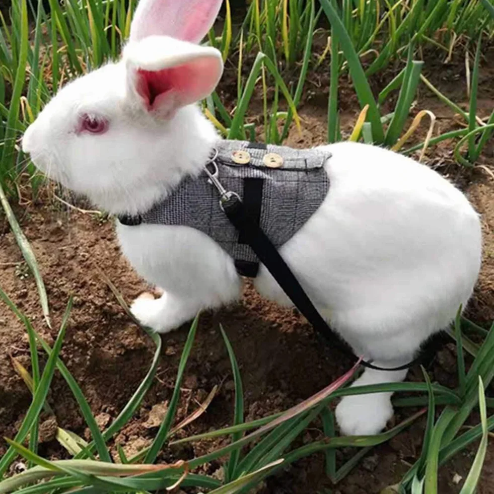 Tnfeeon Rabbit Soft Breathable Harness mit Leine, Pet Rabbit Kleintier Walking Harness Weste Leine Blei(L)