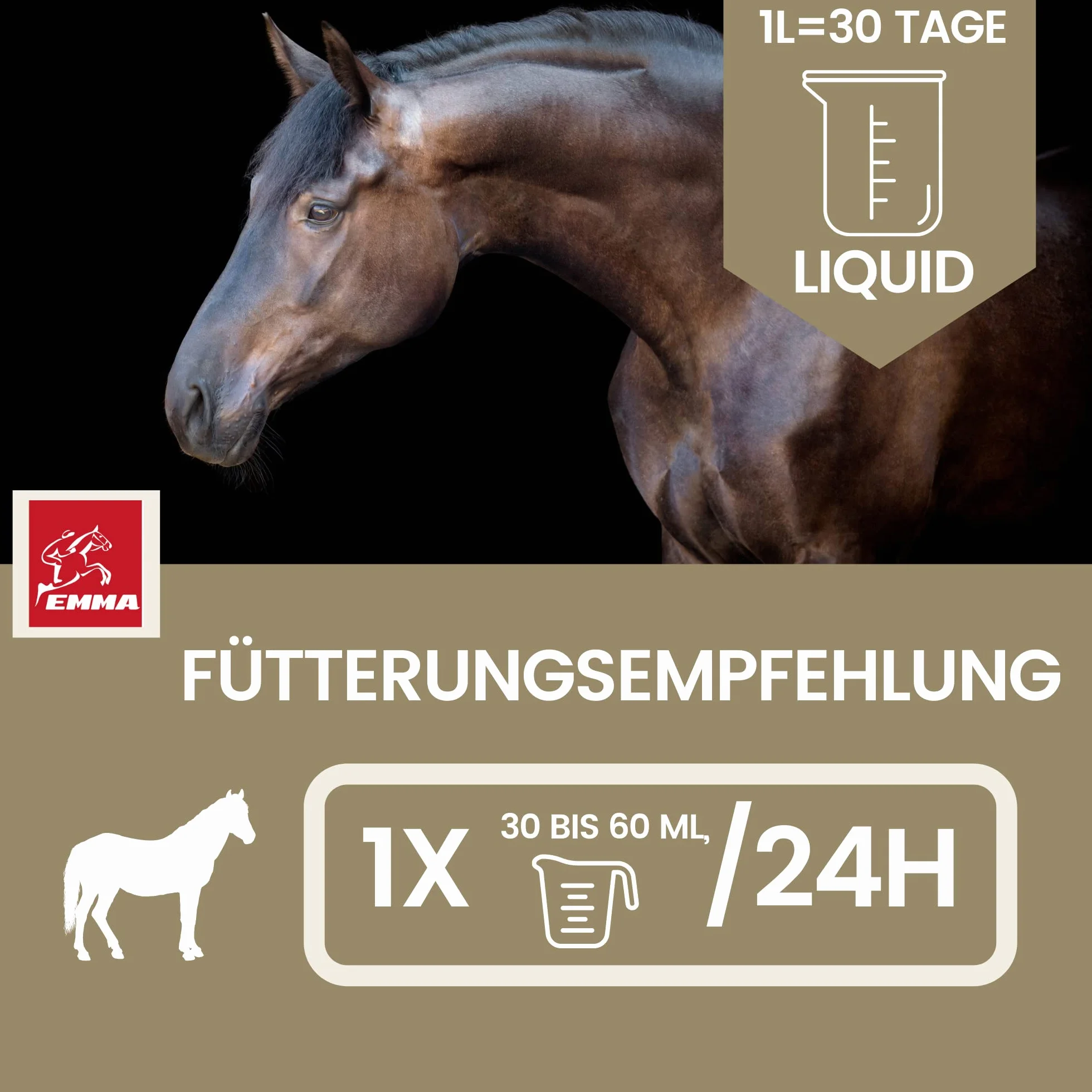 EMMA Amino Pferd Liquid 1L Aminokwasy w płynie z L-karnityną, witaminą B Komplex, suplement diety dla budowy mięśni, regeneracji, zwiększenia wydajności i budowy mięśni - alternatywa dla proszku