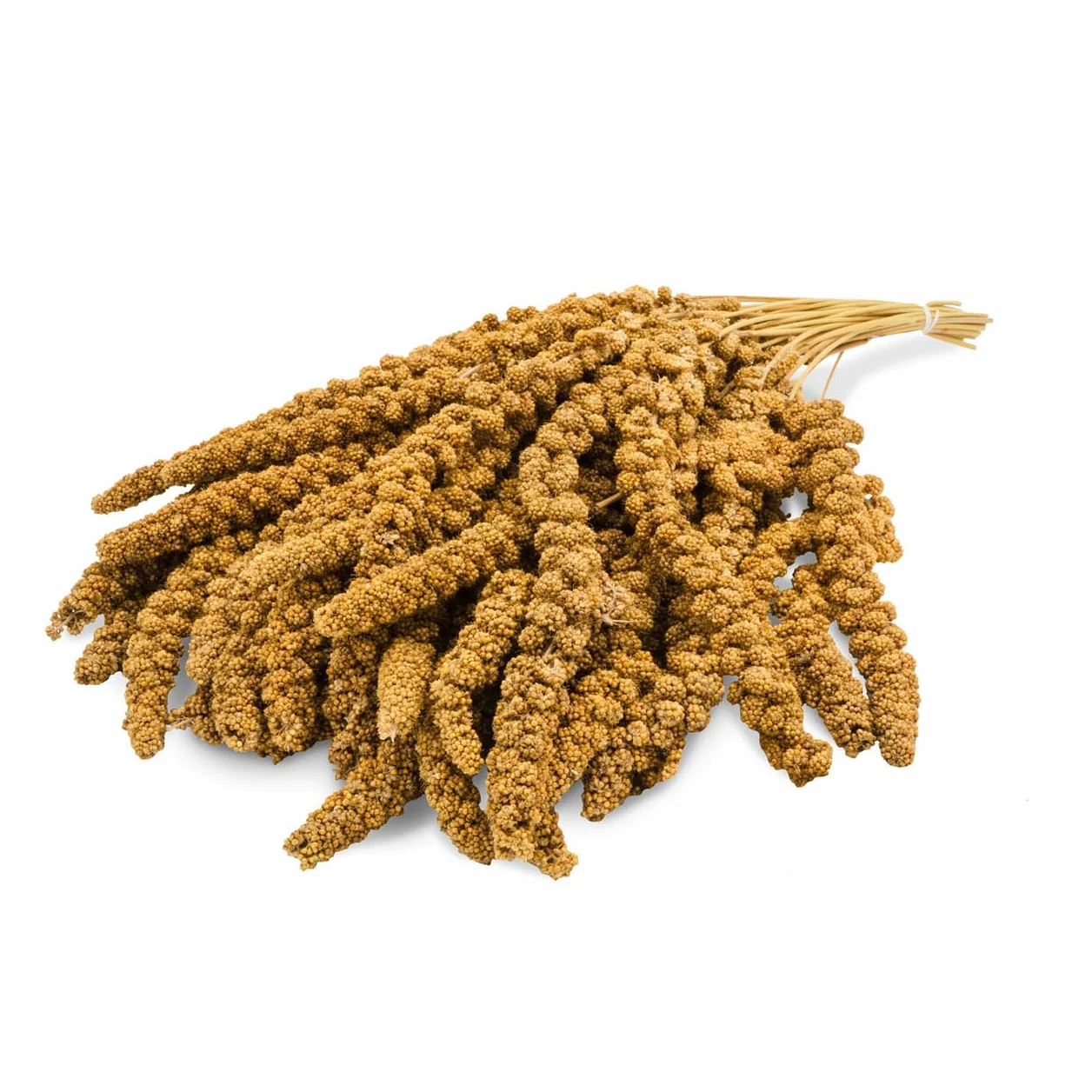 JR Farm Ptaki Włosia Proso Żółty 1 kg