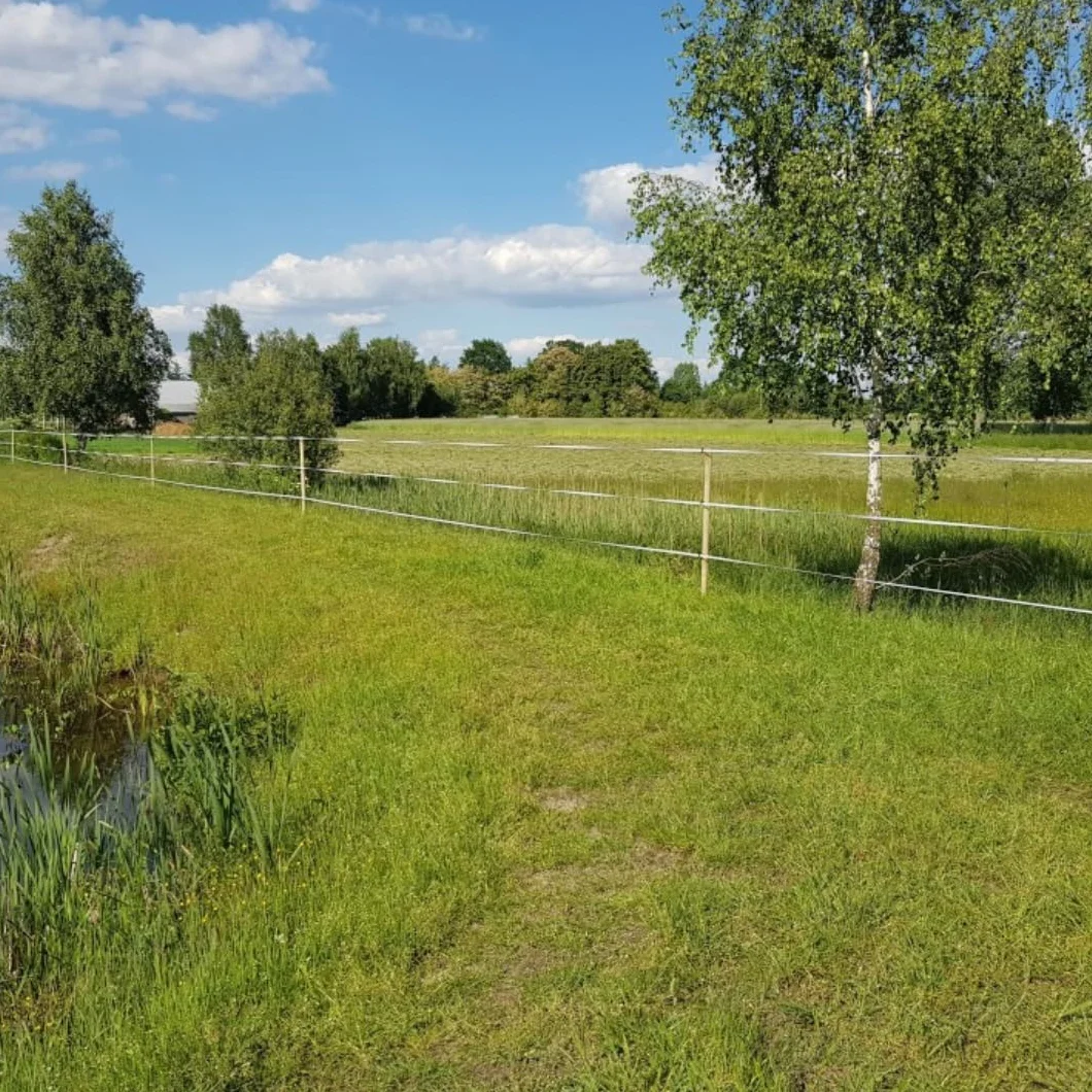 Taśma ogrodzeniowa z wikliny 20 mm biało-niebieska 500 m