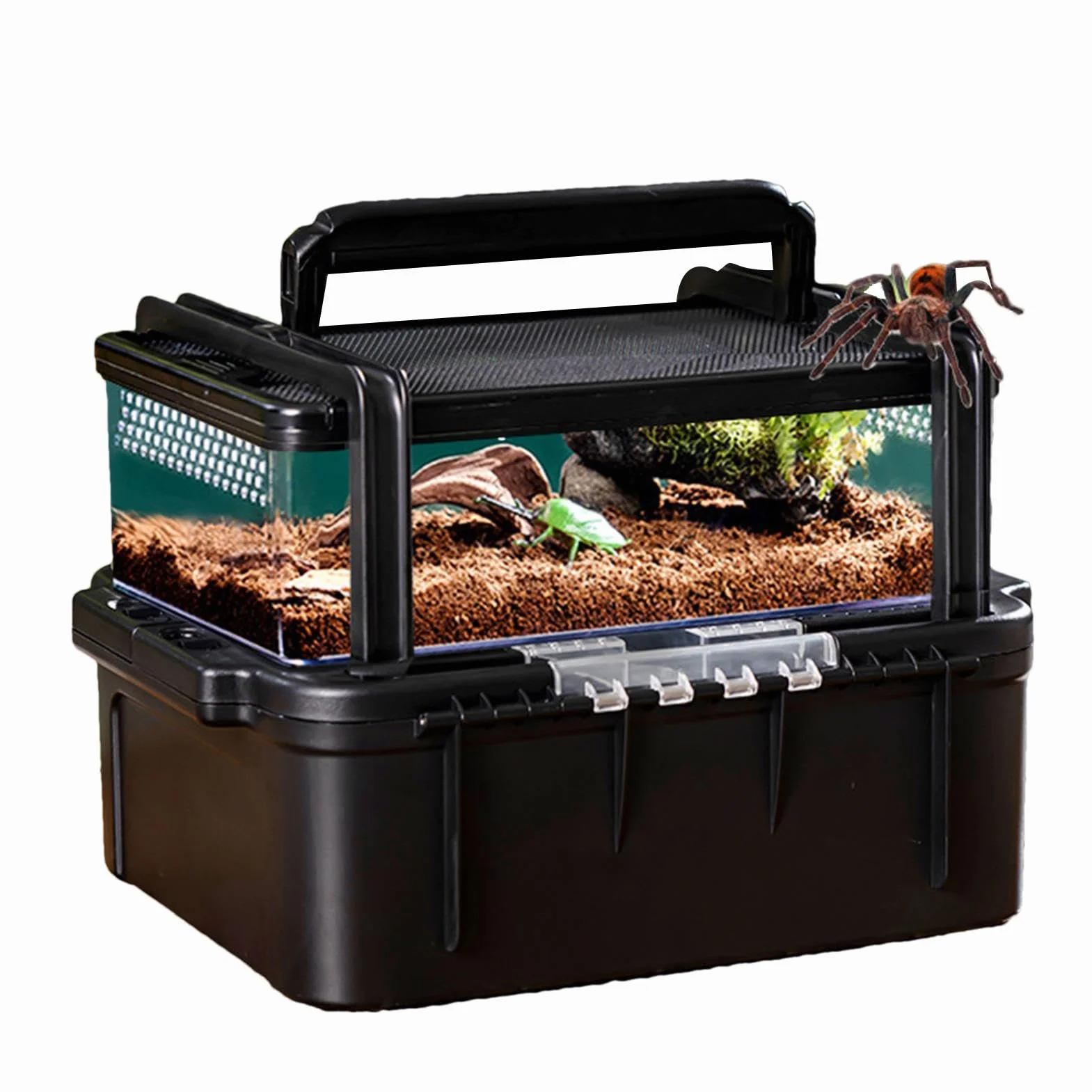 Pudełko do hodowli gadów, Pudełko do hodowli gadów , przenośne terrarium | Transporter podróżny dla gadów na zewnątrz Kemping Piesze wycieczki Wycieczka na świeżym powietrzu pr