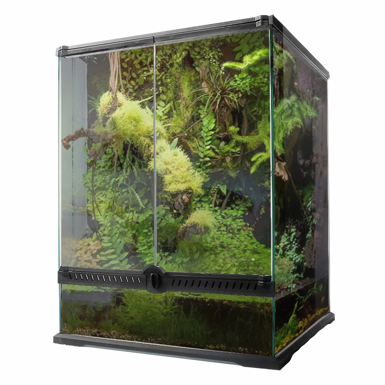 Terrarium dla gadów Szklane przezroczyste pudełko do karmienia Pudełko do hodowli gadów i płazów Owady Żółw pająk Wąż (60 * 45 * 45 cm)