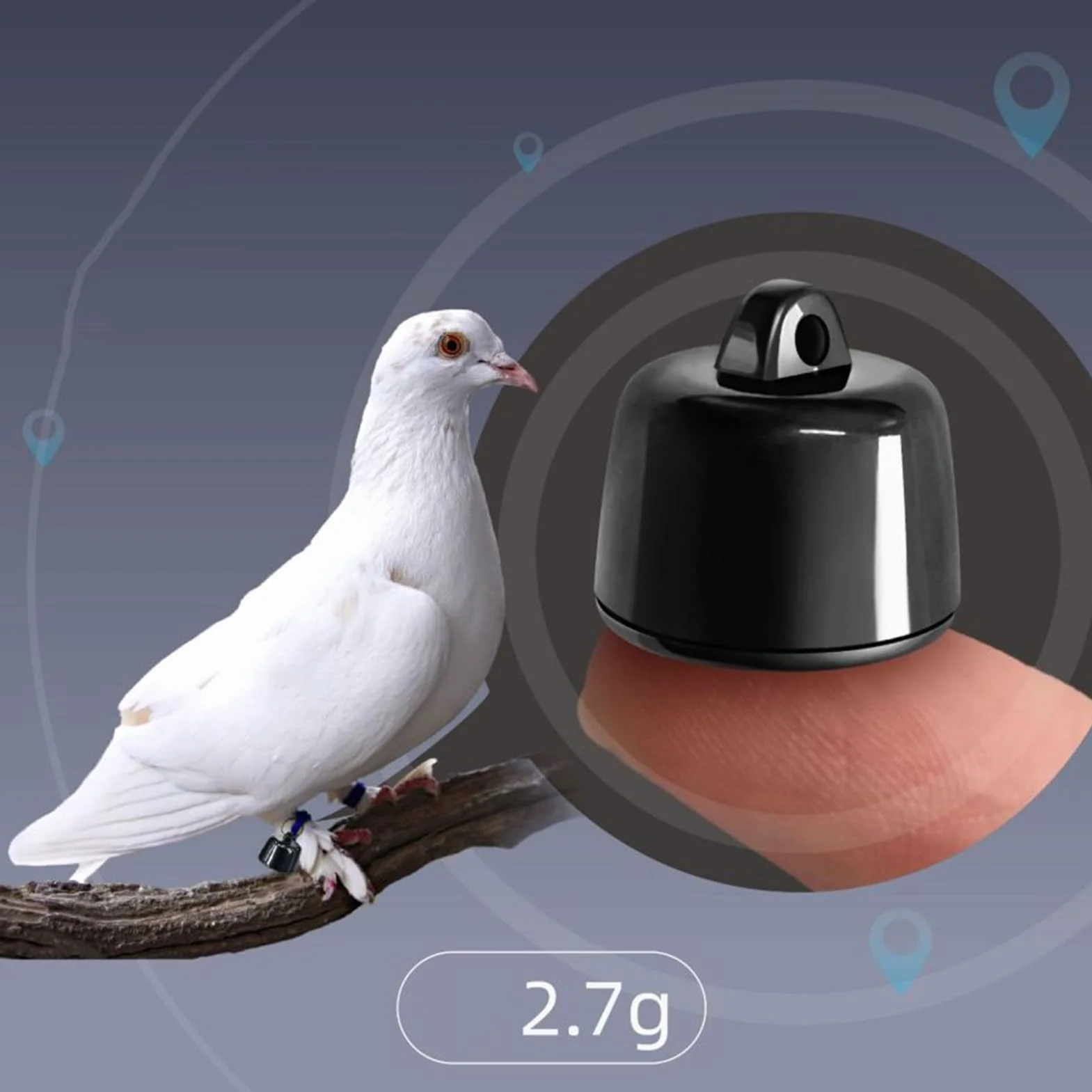 Lokalizator psów, lokalizator małych kotów, 1,2 x 1,7 cm, inteligentne przenośne urządzenie GPS, śledzenie w czasie rzeczywistym, konstrukcja, idealny dla dzieci, zwierząt domowych, osób