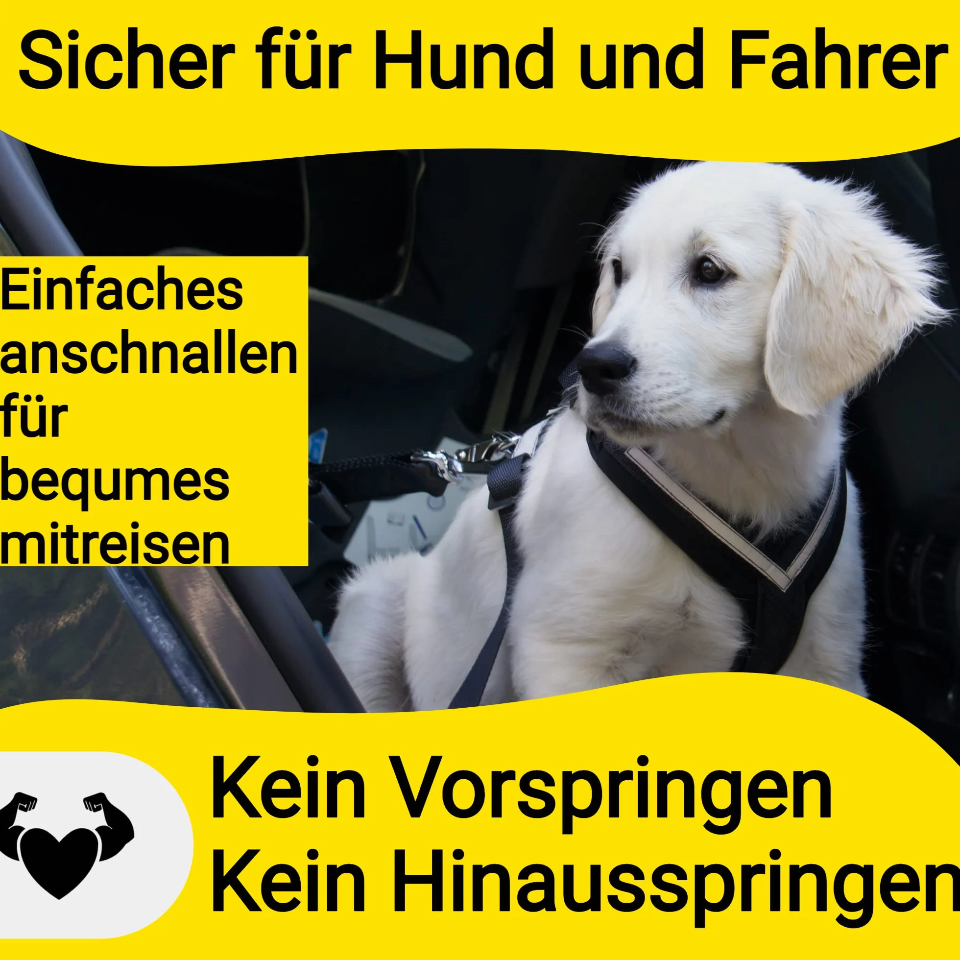 Hundefreund Pas Bezpieczenstwa dla Psa – Regulowany Pas Samochodowy z Amortyzatorem dla Srednich i Duzych Psów – Dodatkowo Wzmocniony Pas do Wszystkich Typów Samochodów (Czarny)