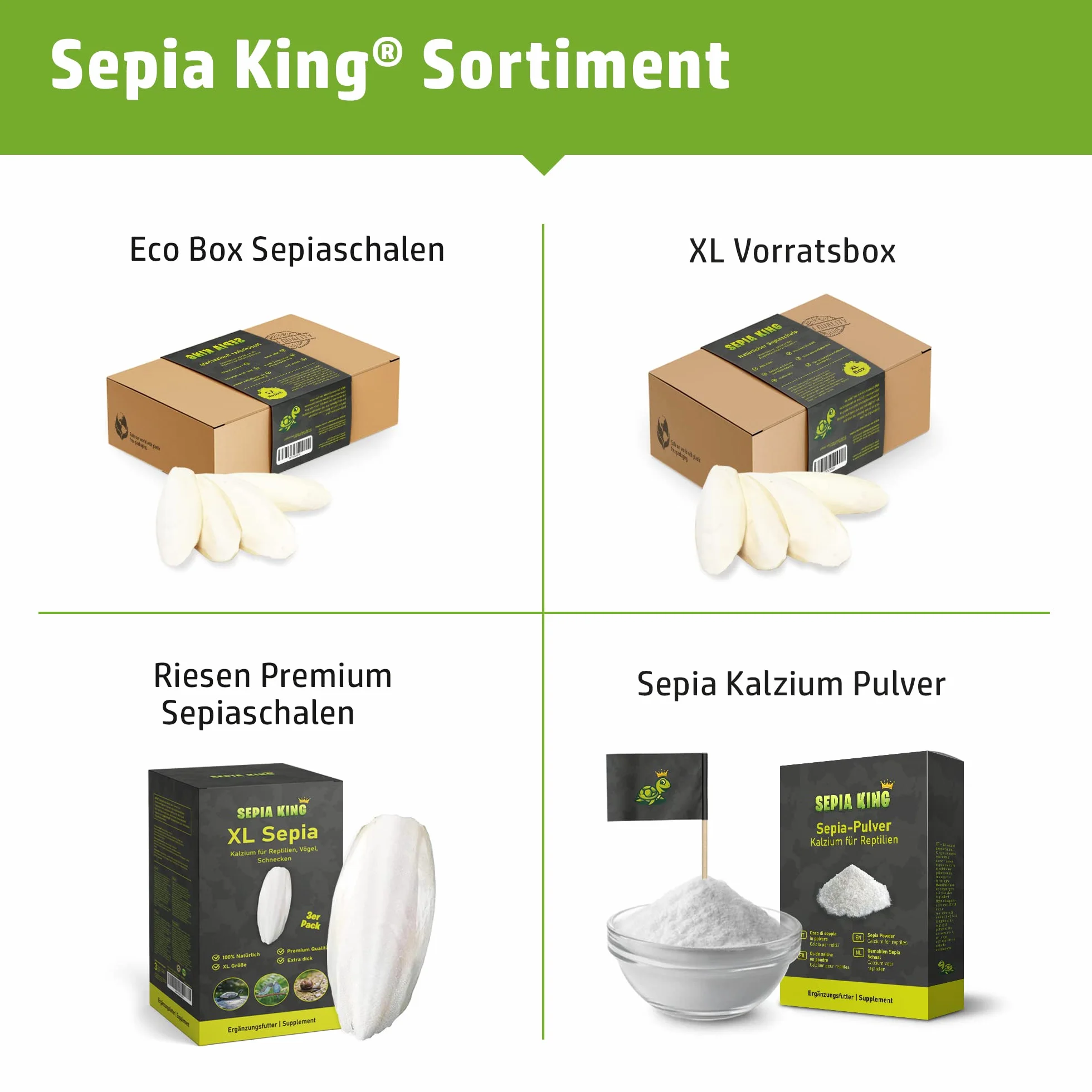 Sepia King - Sepia w proszku – wapń dla żółwi, bartagamy, gadów – mielone łupiny sepia – pokarm, owady – wapno paszowe, wapienne terrarium – 50 g