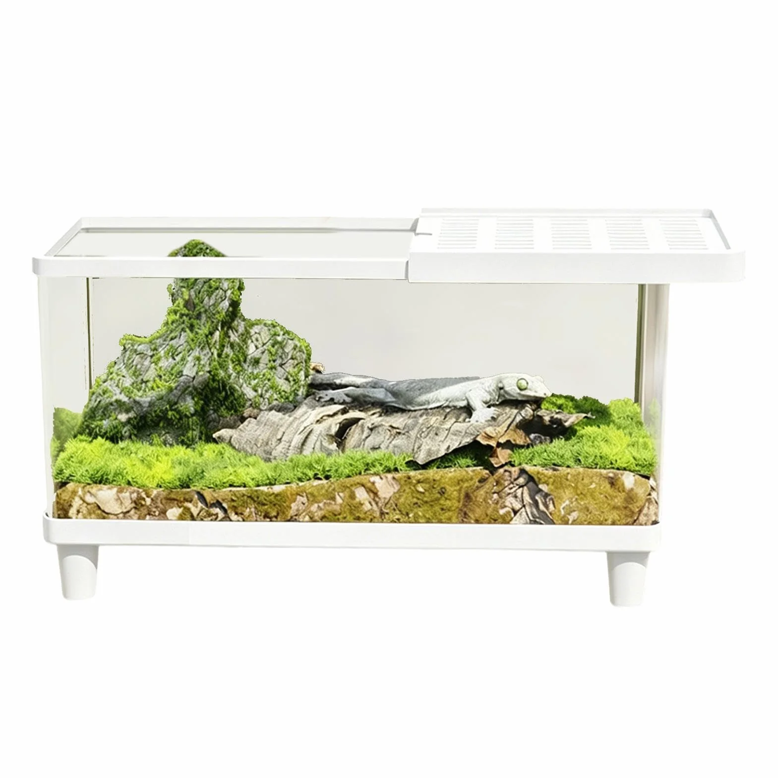 Przezroczysty akryl Terrarium, Ucieczka Proof Lizard Keeper, układane w stos gadów, wysokiej jakości akryl klasy optycznej z bezpiecznymi listwami magnetycznymi, wysokiej jakości sprzęt do pielęgnacji