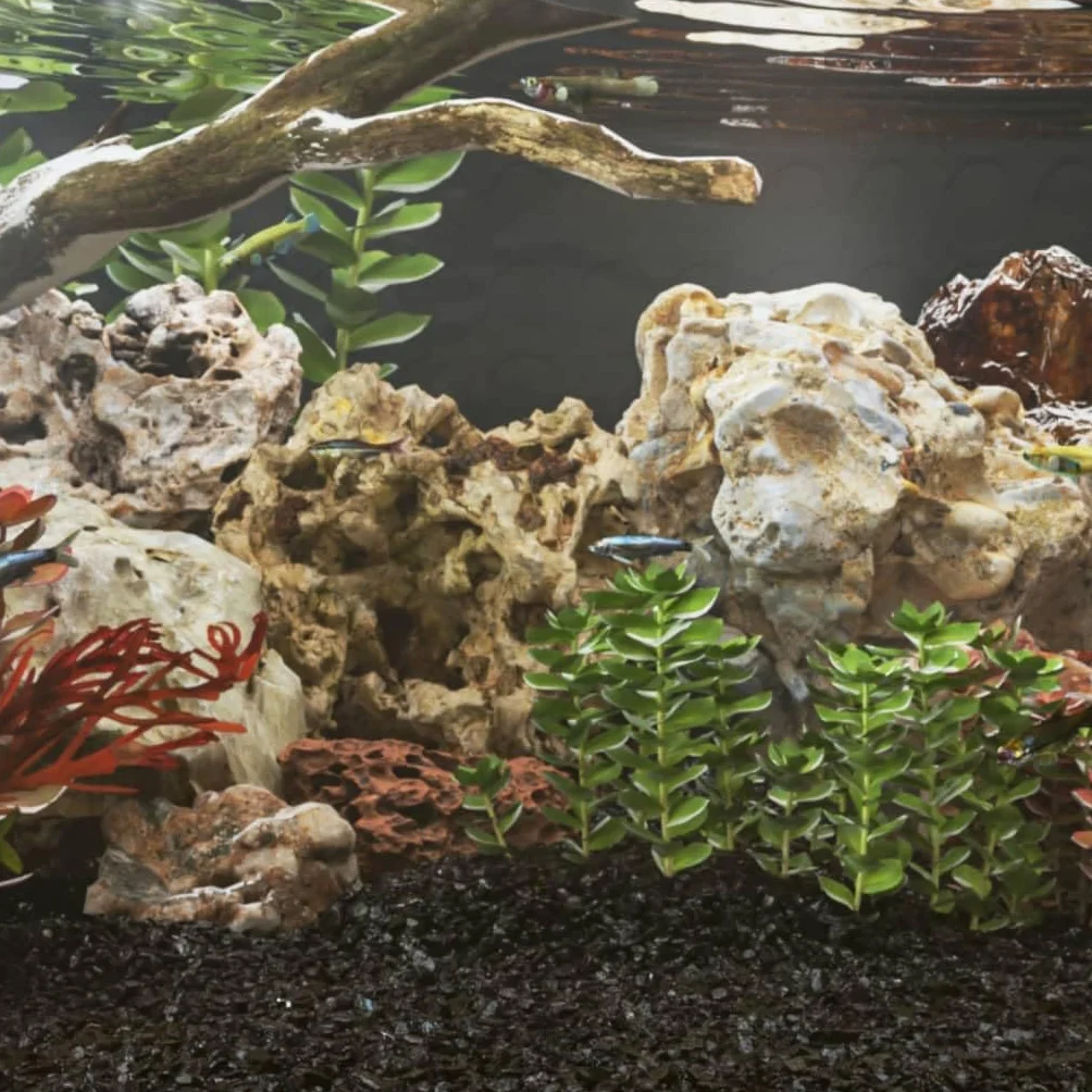 Kamienie smocze do akwarium, wielokolorowe, 10-30 cm, 10 kg, kamień naturalny z jaskiniami do krewetek, ryb, roślin, nano basenu, słodkowodne, morskie, terrarium, ornament