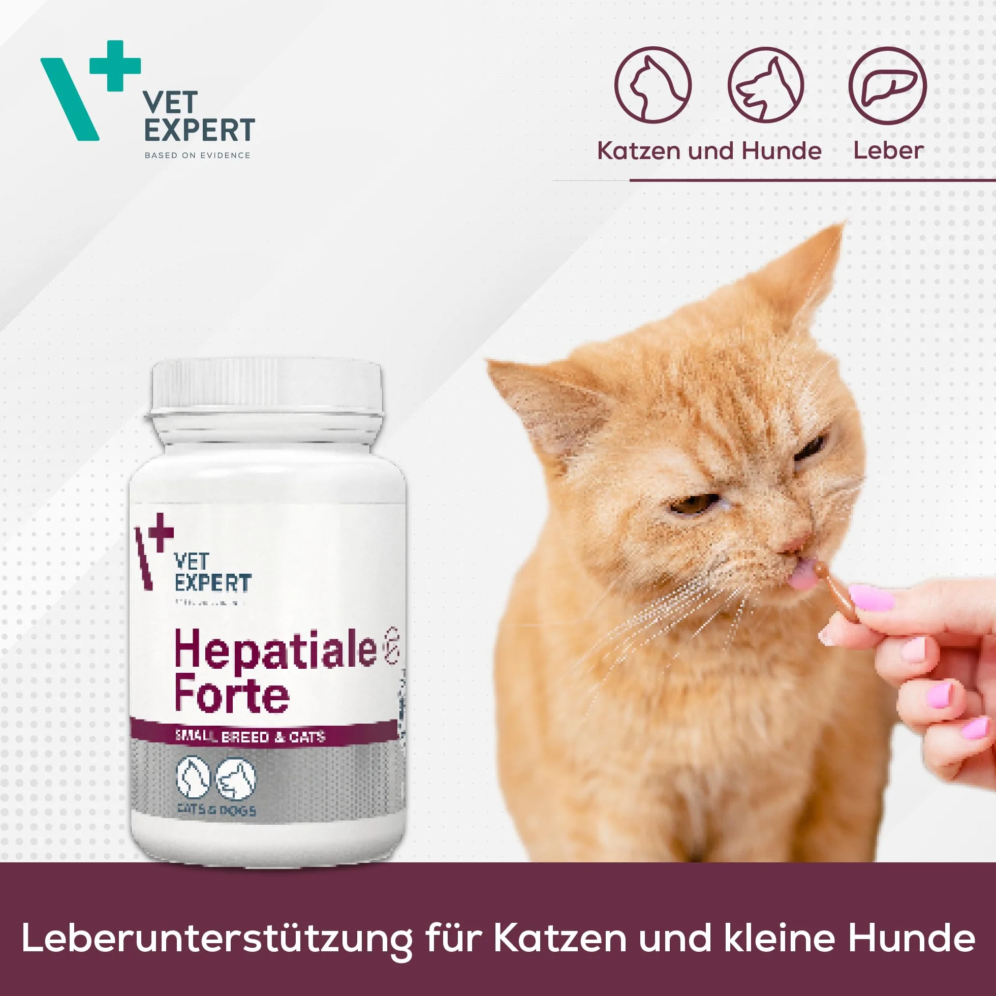 VetExpert Hepatiale Forte Small Breed & Cats Twist-Off | 40 kapsułek | karma uzupełniająca dietetyczna dla małych psów i kotów