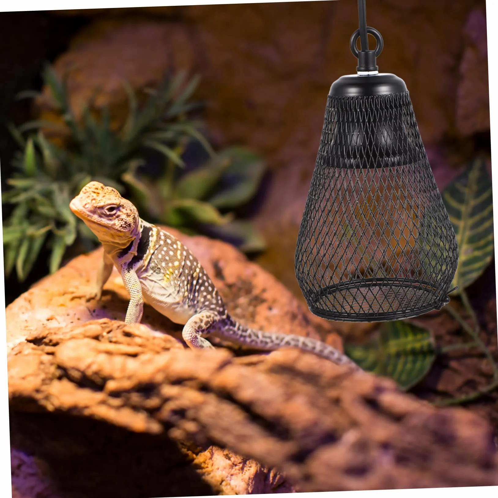 Happyyami Pokrywa Lampy Grzewczej Dla Gadów Osłona Przeciw Oparzeniom Do Lampy Grzewczej Akcesorium Do Terrarium Duża z Hakiem Eu