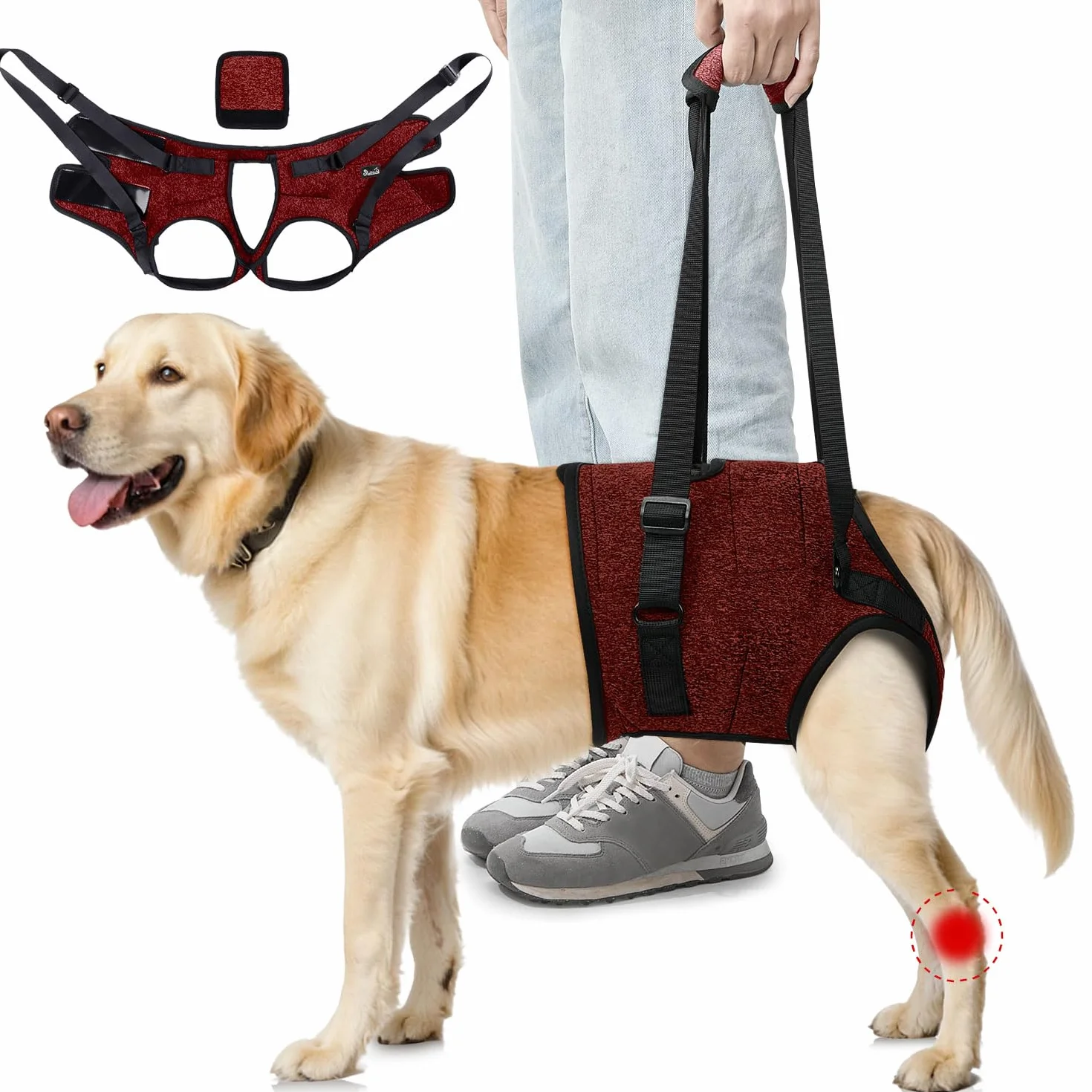 SlowTon Hind Leg Support Harness Sling dla średnich psów - wygodna regulowana uprząż do podnoszenia psa dla osób starszych z niepełnosprawnością artretyzmu (czerwona, XL)