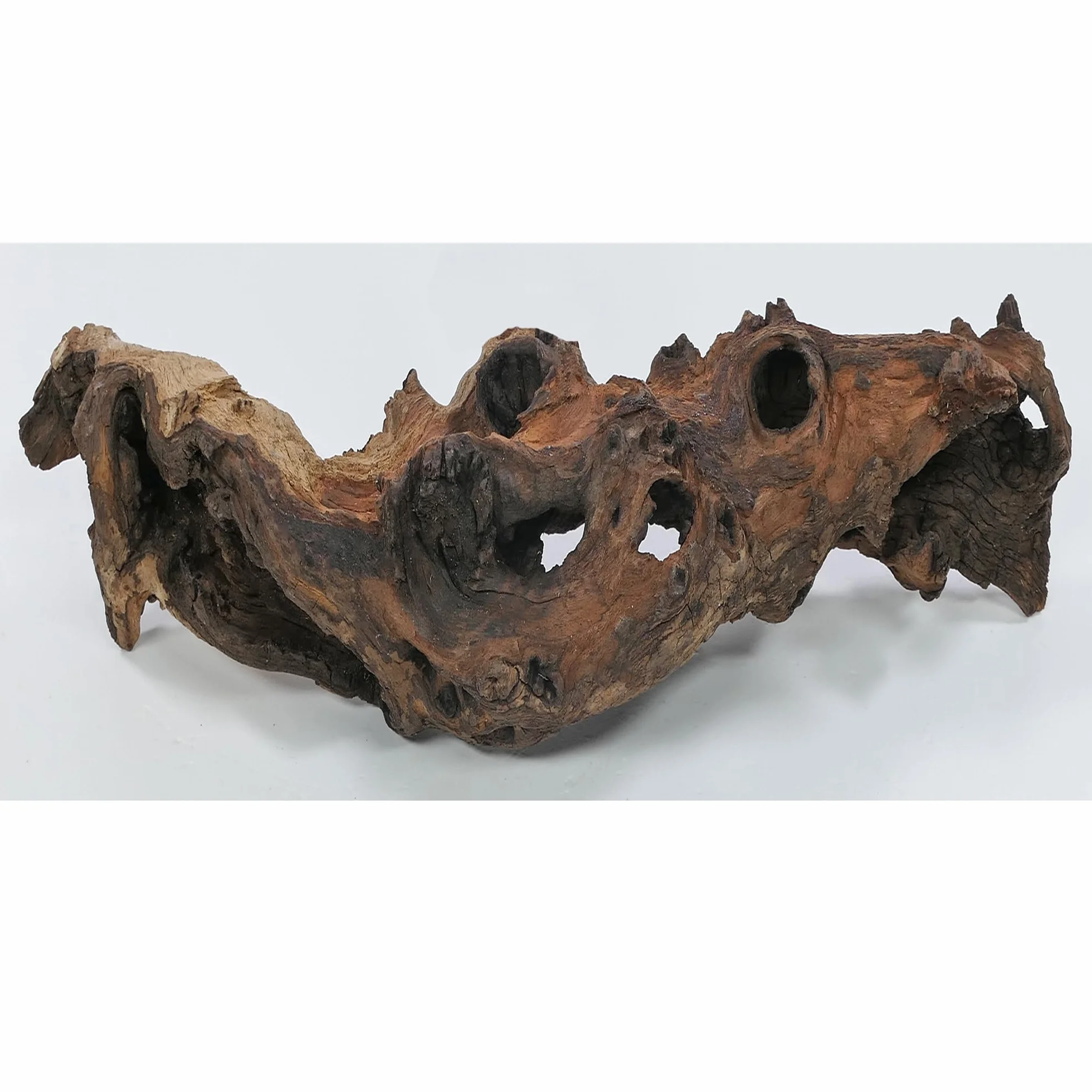 Korzeń Mopani rozmiar M // korzeń prawdziwego drewna dekoracja akwarium krewetki ryby ozdobne Hard Scape 20 cm - 30 cm (mangrowa sawanna)