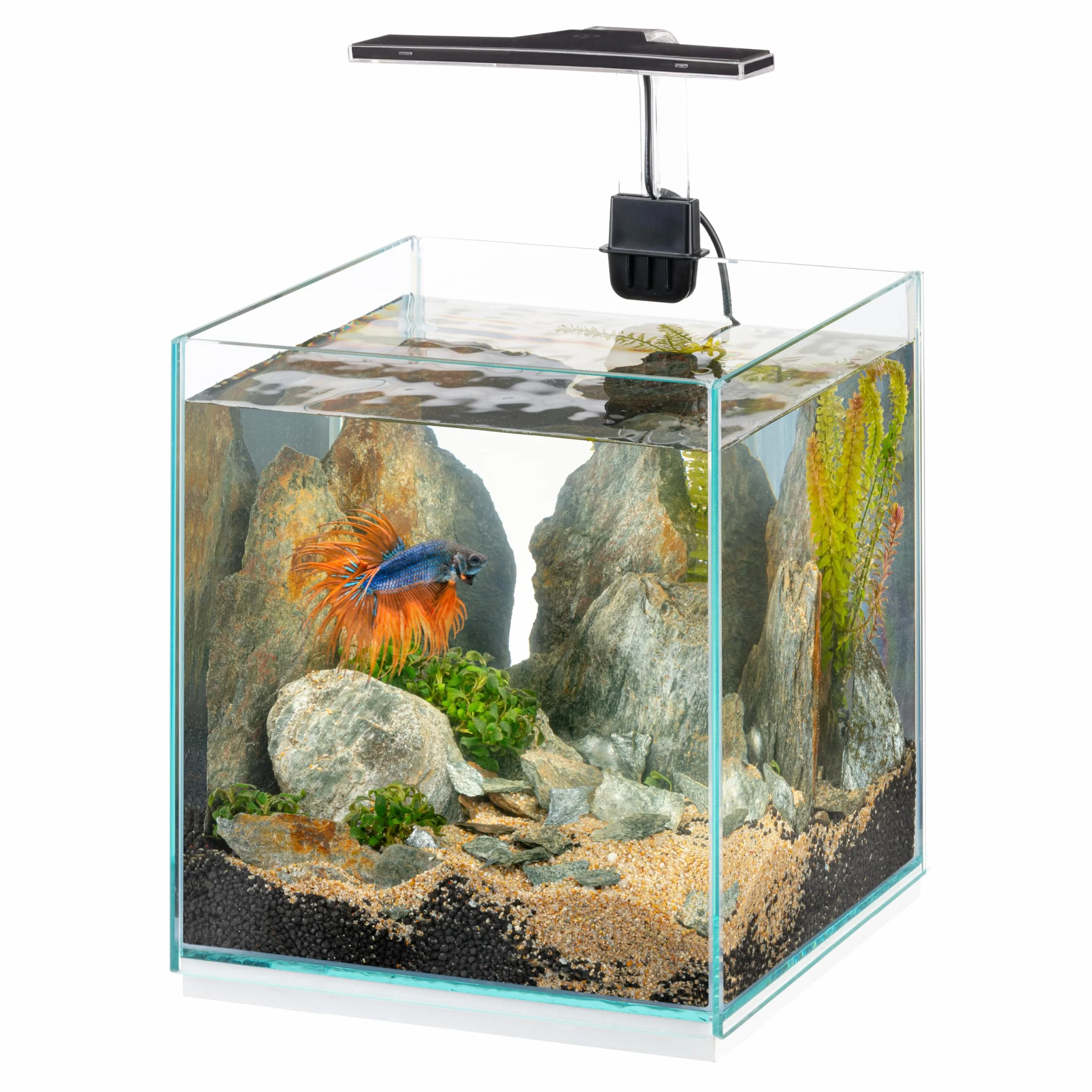 Hydor Akwarium 9,5 litra z przyciemnianą lampą LED, 3 tryby (dzień, noc i mieszane), szklane akwarium 22 x 22 x wys. 36 cm. Ze szkła