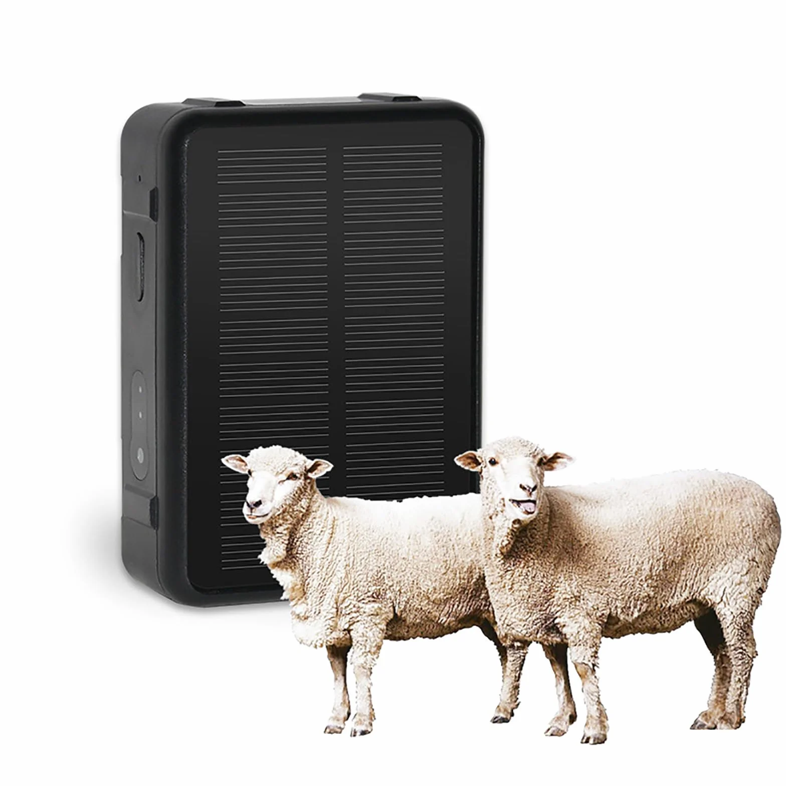 Lokalizator Zwierząt, Zasilane Energią Słoneczną Urządzenie GPS Zapobiegające Zgubieniu Bydła, Owiec I Koni, Pojemność 9000 MAh, 5 Funkcji Repozycjonowania I 5 Alarmów, Monitorowanie Głosu