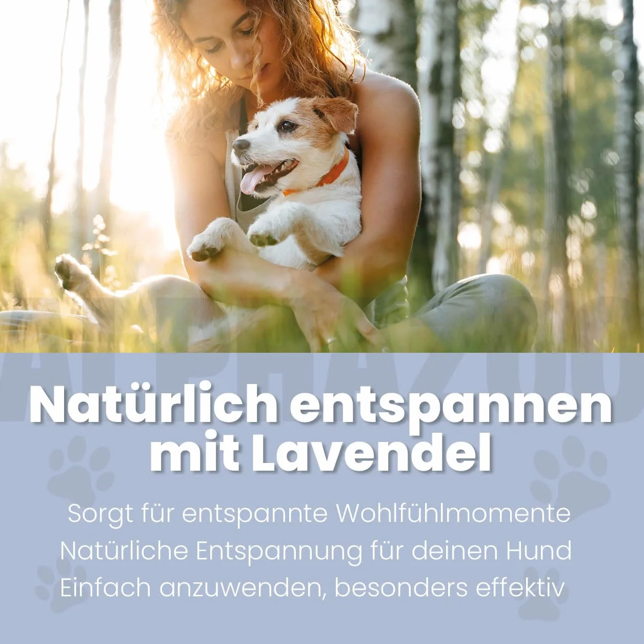 alphazoo Lavellness spray do sierści dla psów 250 ml – delikatna pielęgnacja sierści z lawendą, aloesem i masłem shea – kojący skórę, połysk i relaks bez spłukiwania
