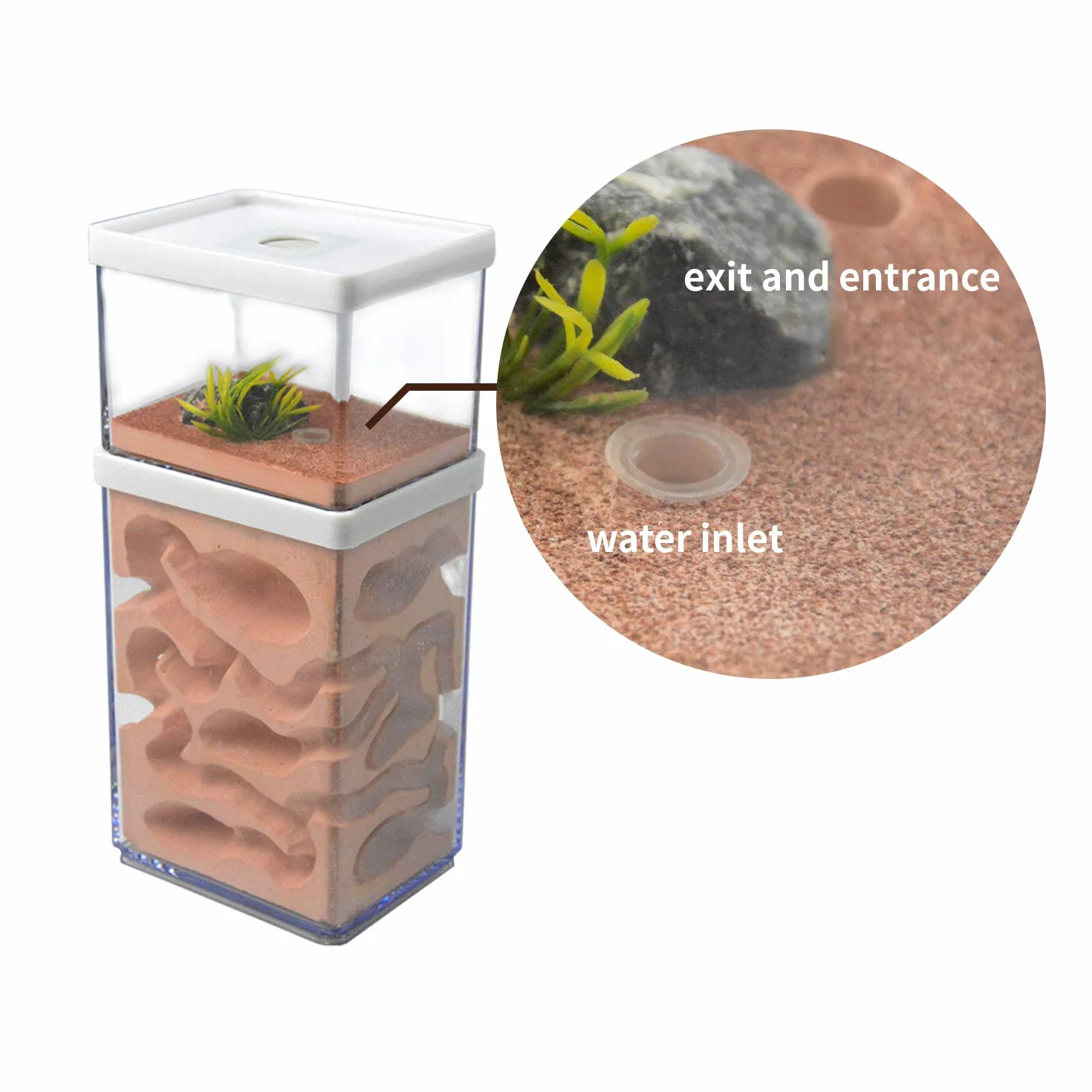 aleawol Naturalna farma mrówek, gniazdo mrówek z gipsu, przezroczysty domek dla mrówek, pudełko do hodowli mrówek, terrarium, domku, Ant Farm Ant Nest Habitat