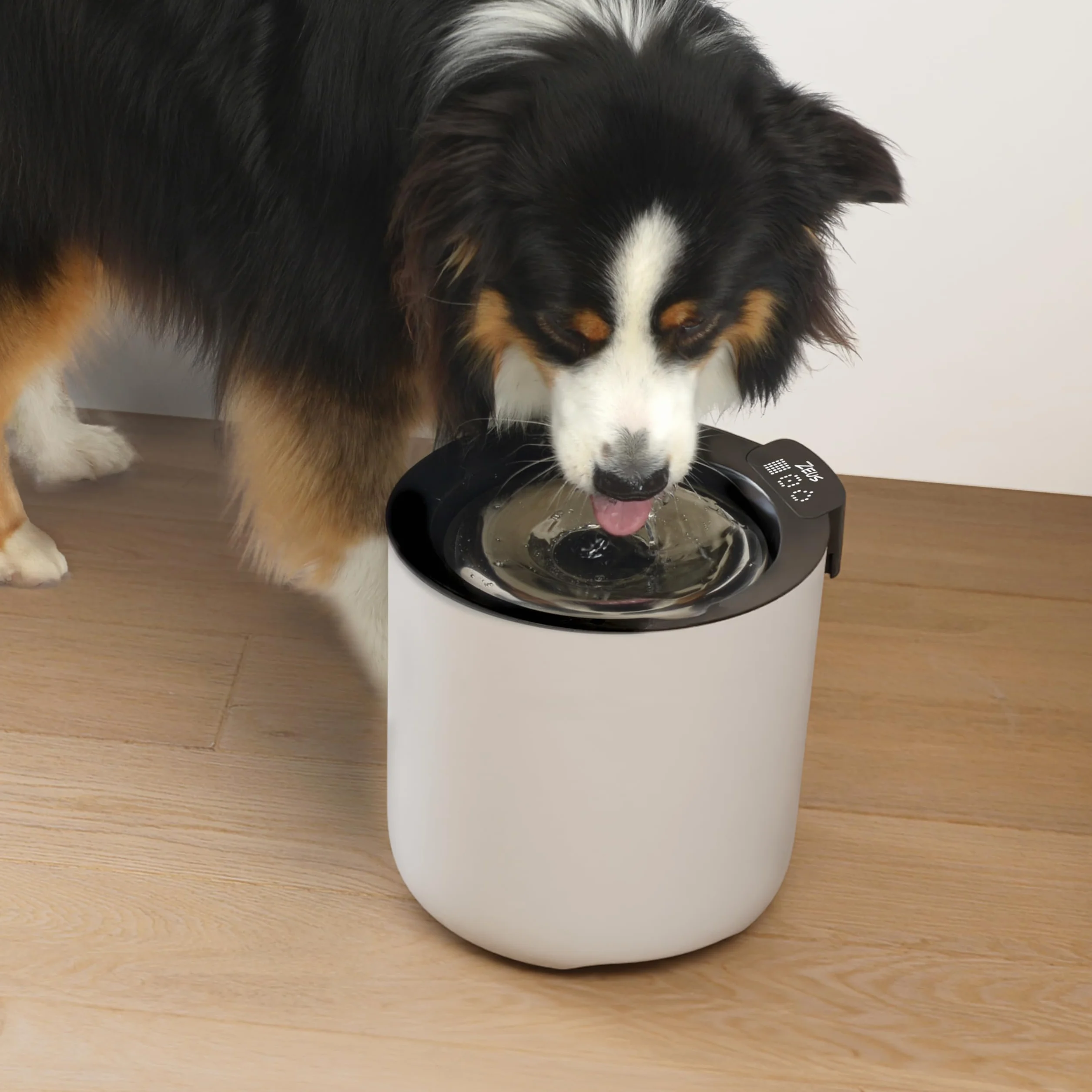 Zeus Oasis Plus Smart Fountain, 6 l