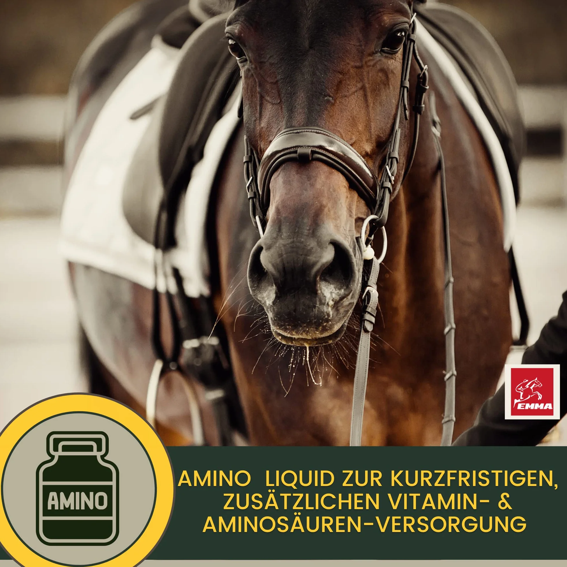 EMMA Amino Pferd Liquid 1L Aminokwasy w płynie z L-karnityną, witaminą B Komplex, suplement diety dla budowy mięśni, regeneracji, zwiększenia wydajności i budowy mięśni - alternatywa dla proszku