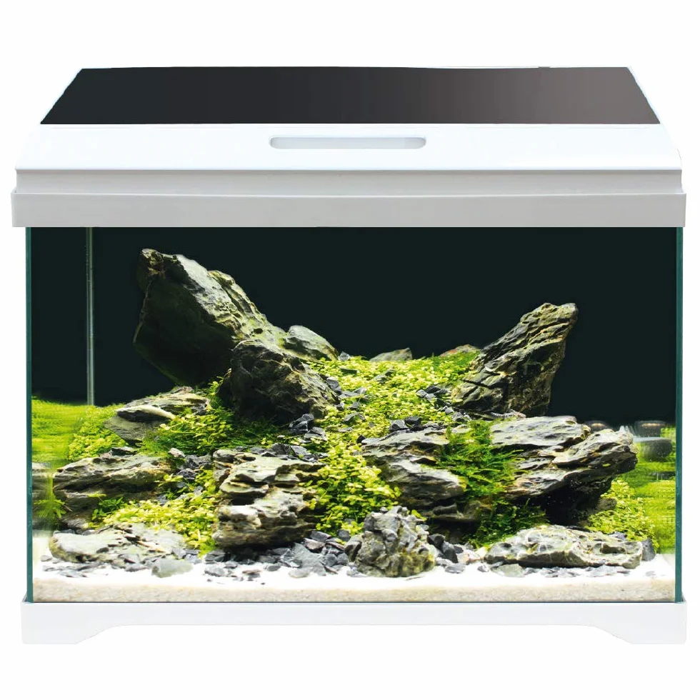 AMTRA Nowoczesny zbiornik 40 LED – akwarium w komplecie z oświetleniem LED i filtrem wewnętrznym/cm 42,5 x 23,5 x 36,5/28 l