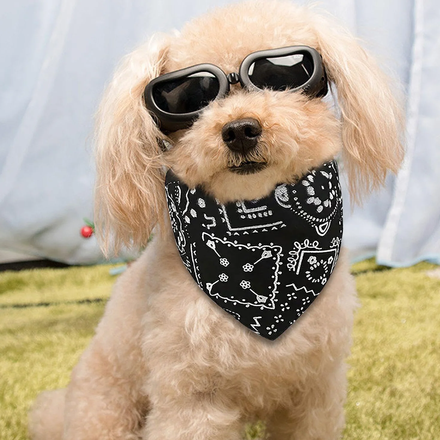 1 okulary dla małych psów i 1 x bandana dla psa, regulowane okulary, akcesoria dla zwierząt domowych, okulary przeciwsłoneczne dla psów, akcesoria do bandaży dla zwierząt domowych