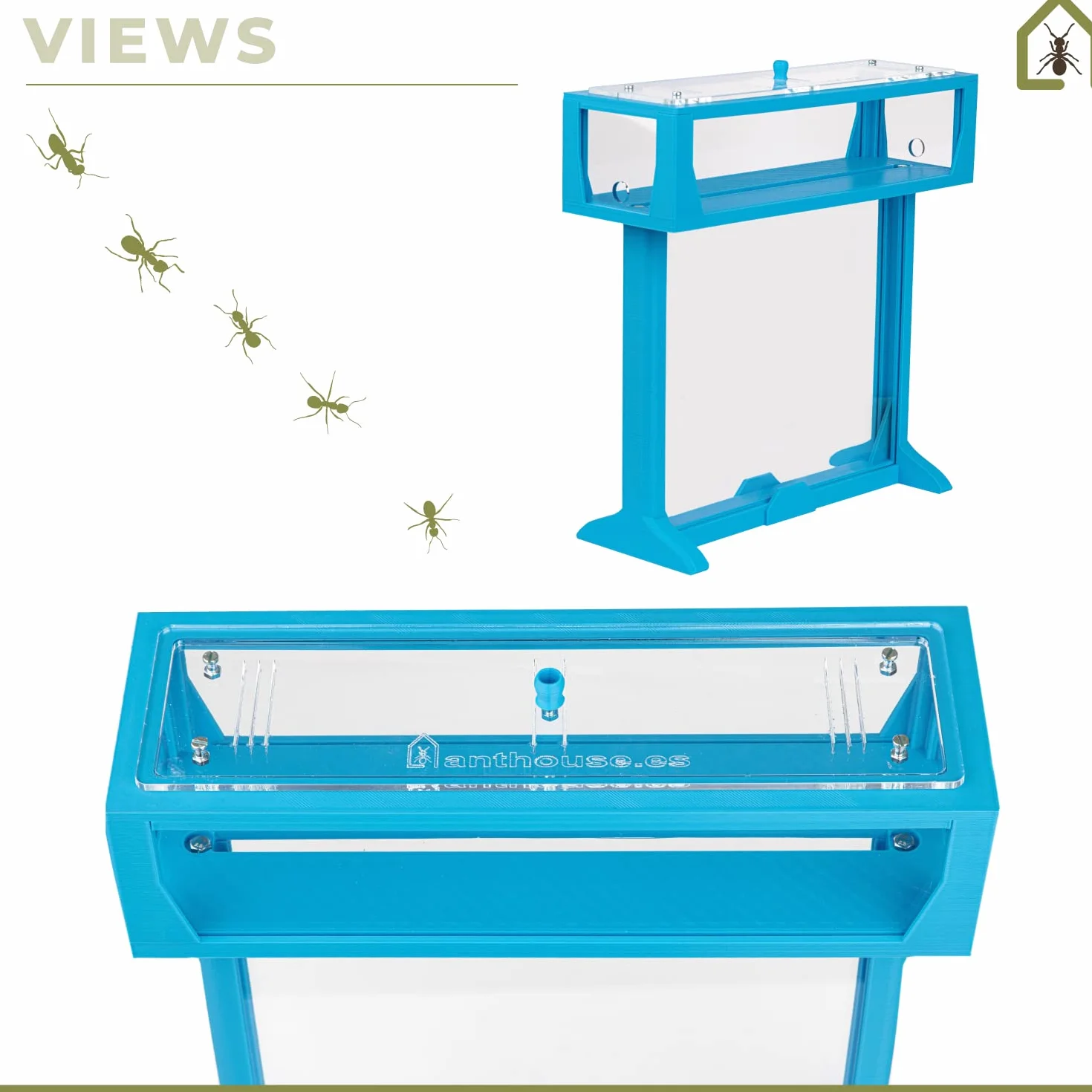 AntHouse Naturalne mrowisko z piasku, farma mrówek, duży akrylowy zestaw T, 25 x 20 x 1,5 cm, mrówki w zestawie
