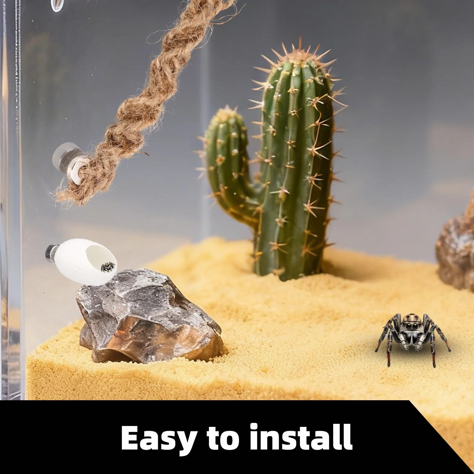 Zestaw Akcesoriów do Terrarium dla Pająków Skaczących 3 szt. Huśtawka z Bawełnianej Liny Platforma Gniazdo Dekoracja