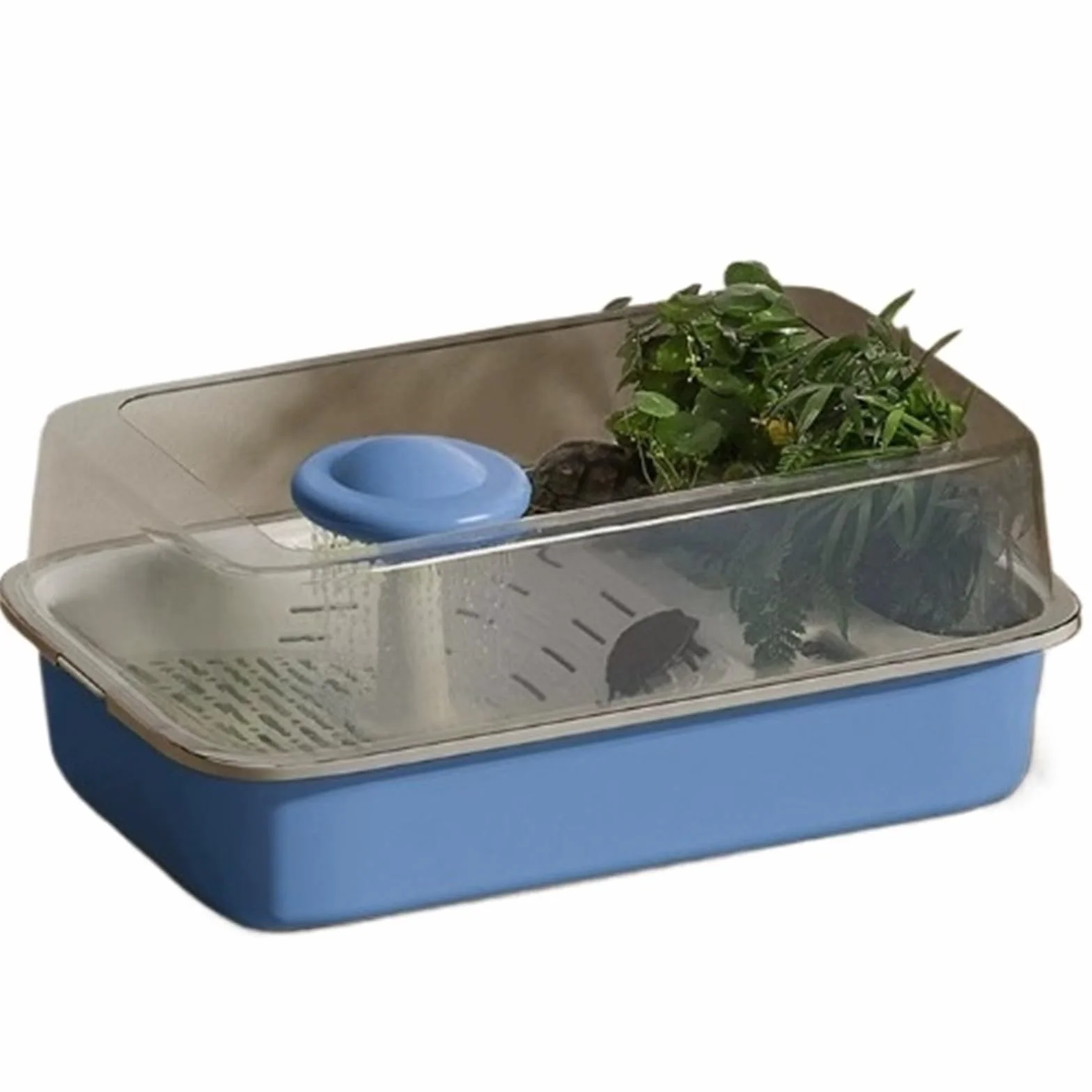 Siedlisko terrarium Zbiornik do karmienia żółwi niebieskich z miejscem sadzenia prysznica użytku domowego Terrarium akwariowe