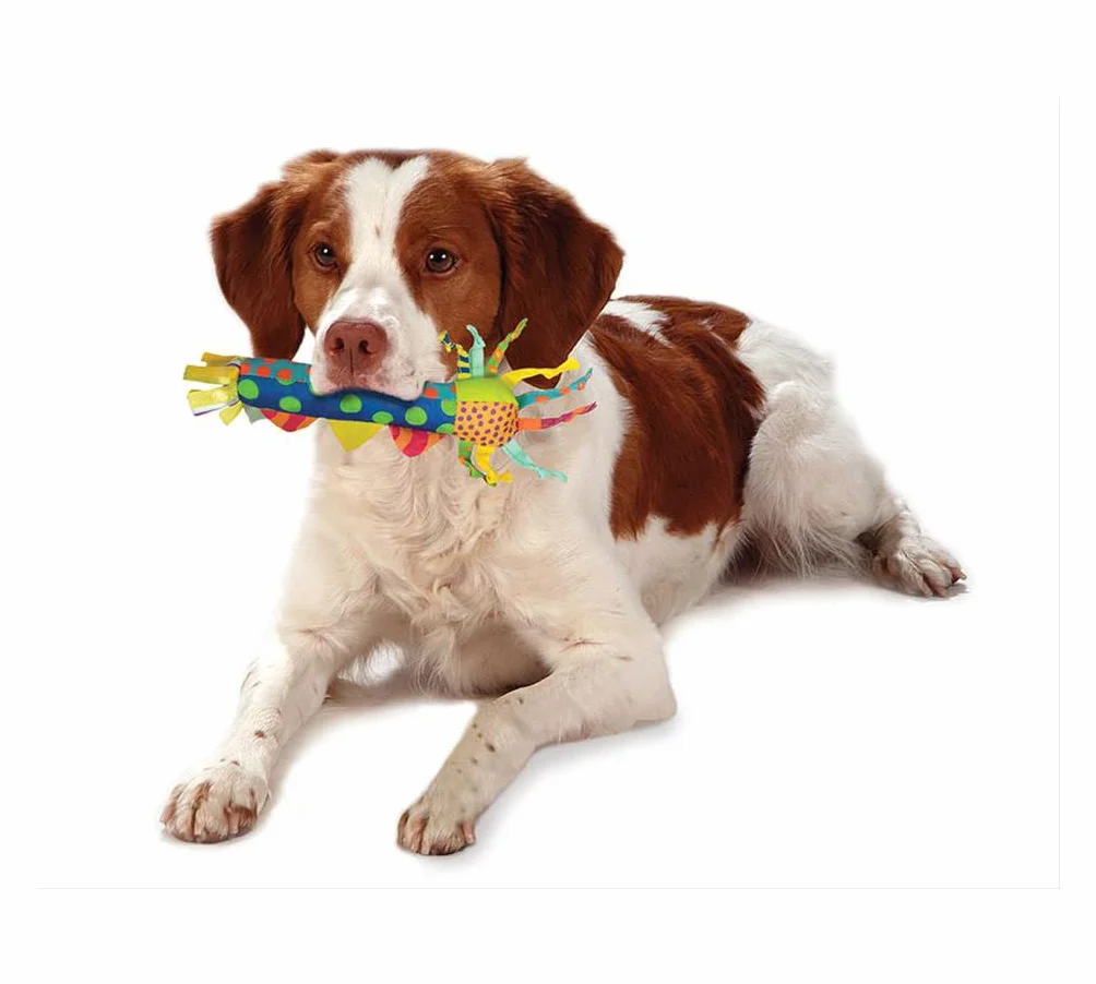 Petstages Cool Teething Stick Zabawka dla psów chłodząca wielobarwna