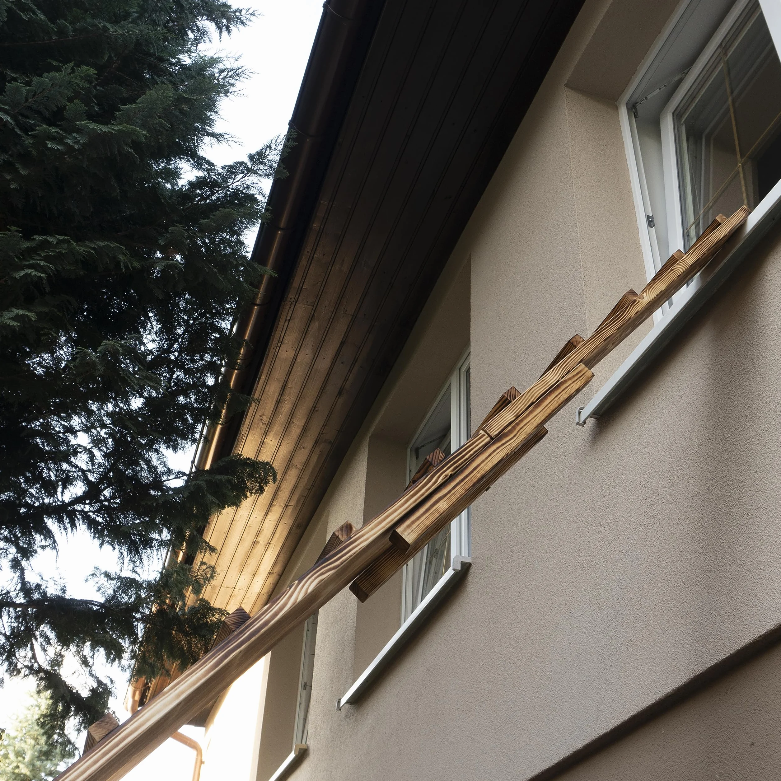 Drabinka dla kotów, opalana, na balkon, od 1 m do 6 m, z hakiem śrubowym, do użytku na zewnątrz, drabina (długość: 2 m)