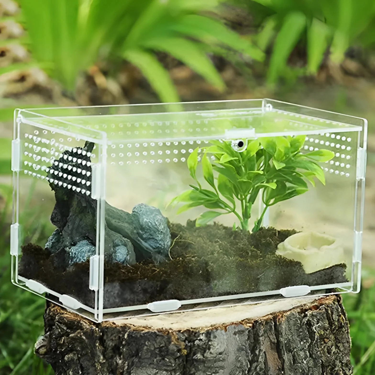 Przezroczyste Terrarium Akrylowe dla Ślimaków i Gadów (20 x 12 x 12 cm) – Pojemnik Transportowy, Klatka Rozrodcza, Pudełko do Karmienia, Mini Terrarium dla Płazów i Gadów