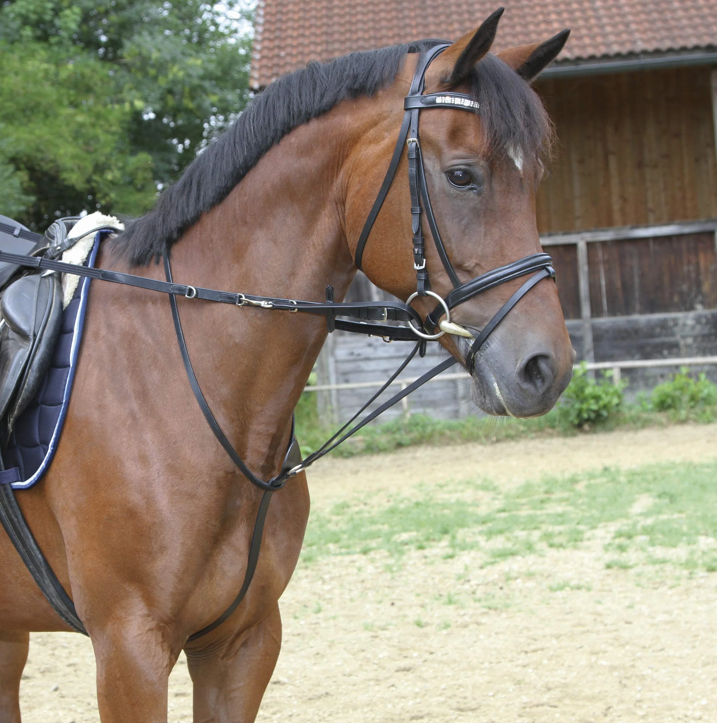 Kerbl 323594 linka Thiedemann, czarna, rozmiar Full