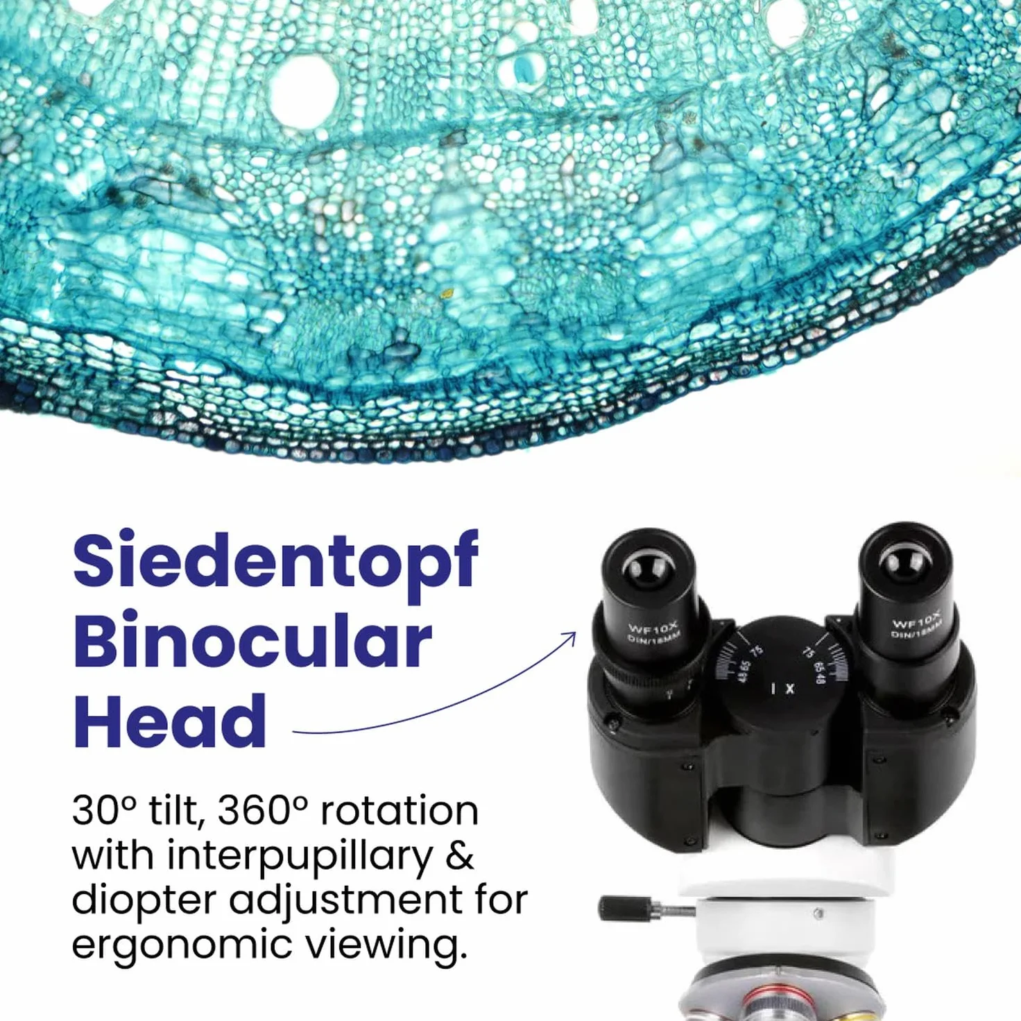 AmScope - 40X-2500X LED lornetka mikroskop złożony z mechanicznym etapem 3D + aparat cyfrowy USB - B120C-E