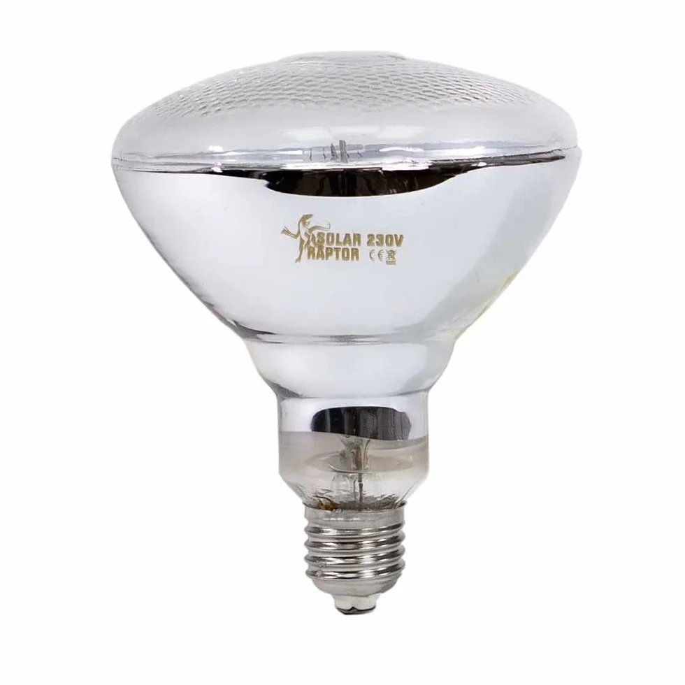Econlux SolarRaptor 80 W MVL PAR38